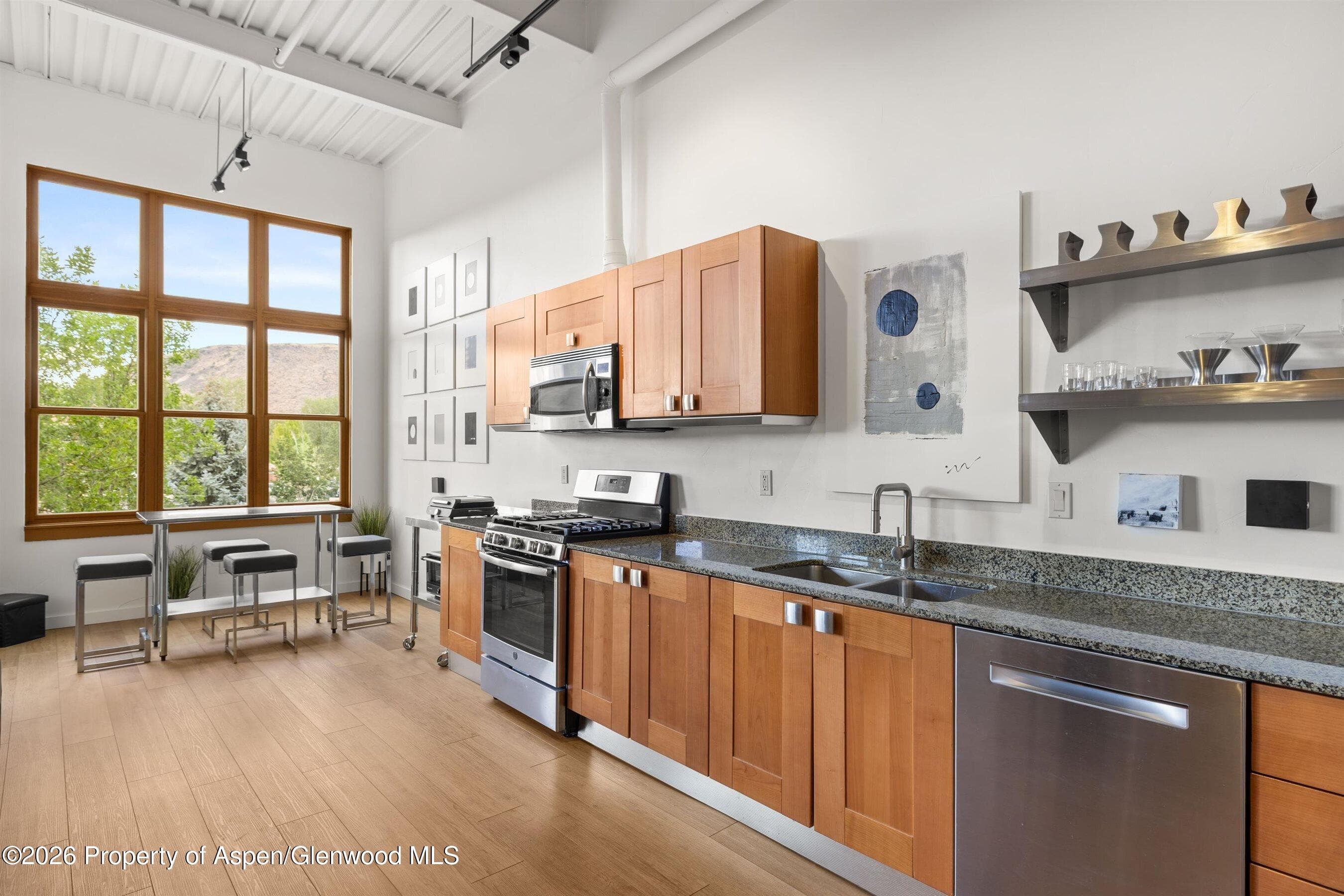 231 Robinson Street 218, Basalt, CO 81621 - Photo 4