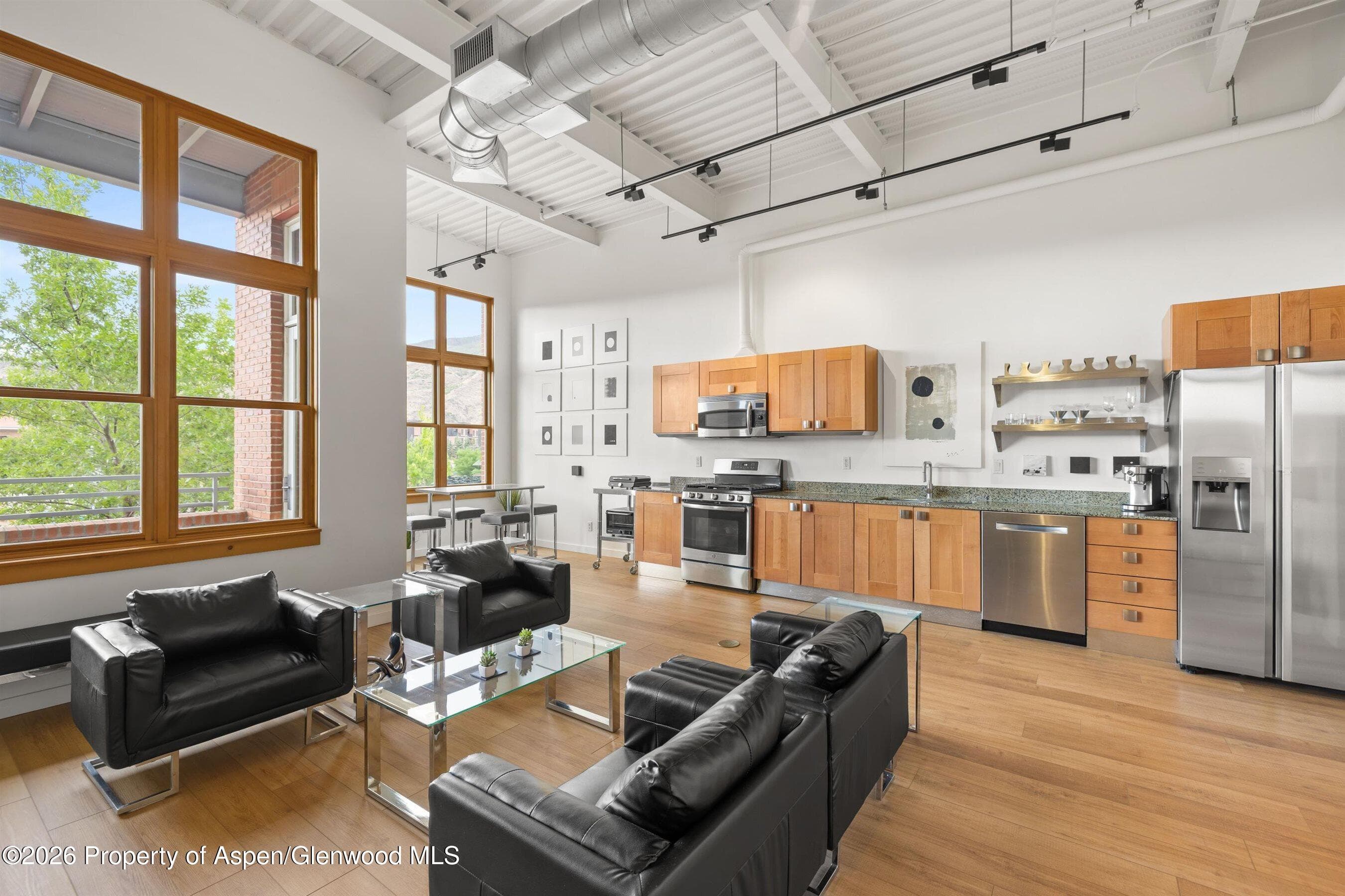 231 Robinson Street 218, Basalt, CO 81621 - Photo 6
