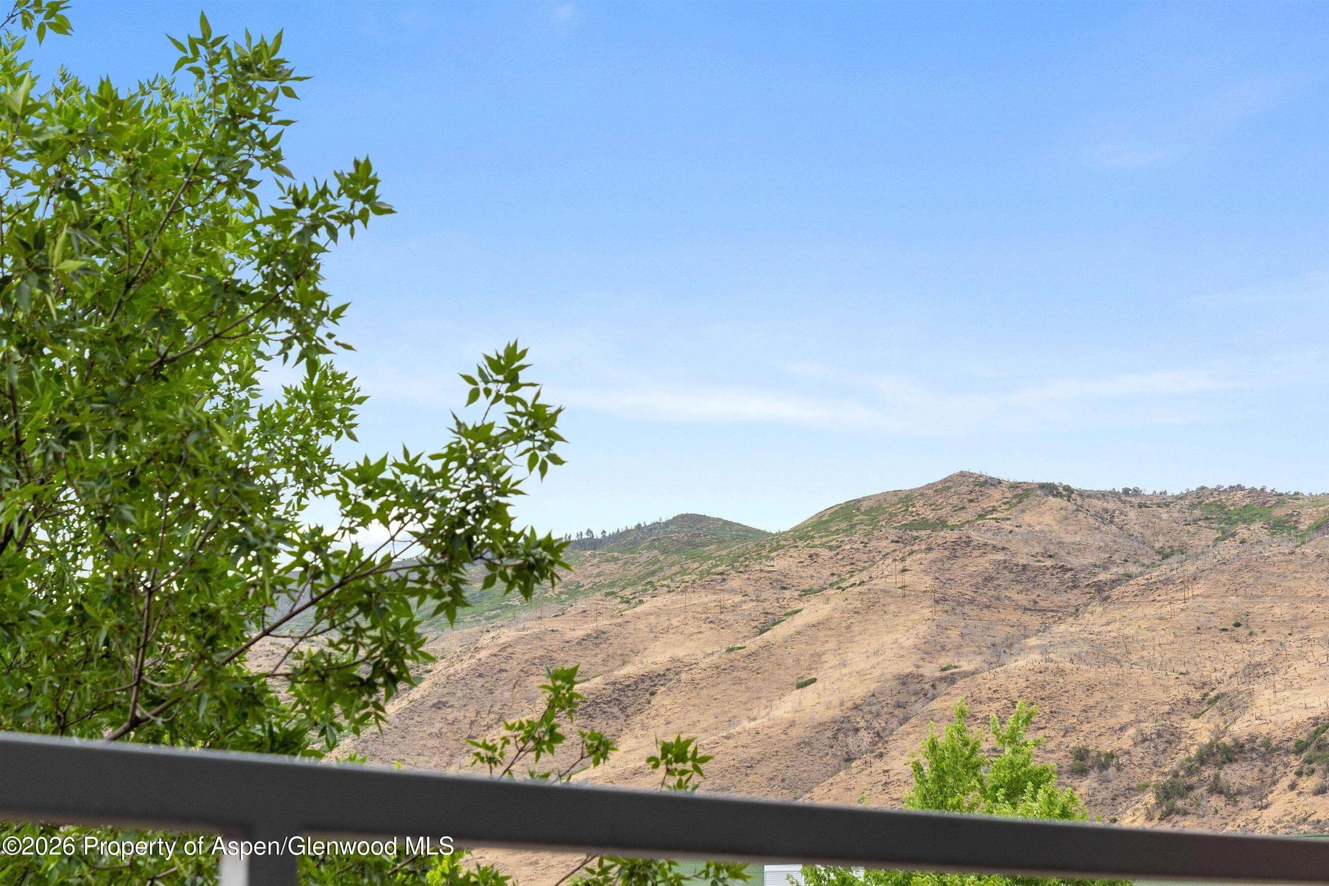 231 Robinson Street 218, Basalt, CO 81621 - Photo 9