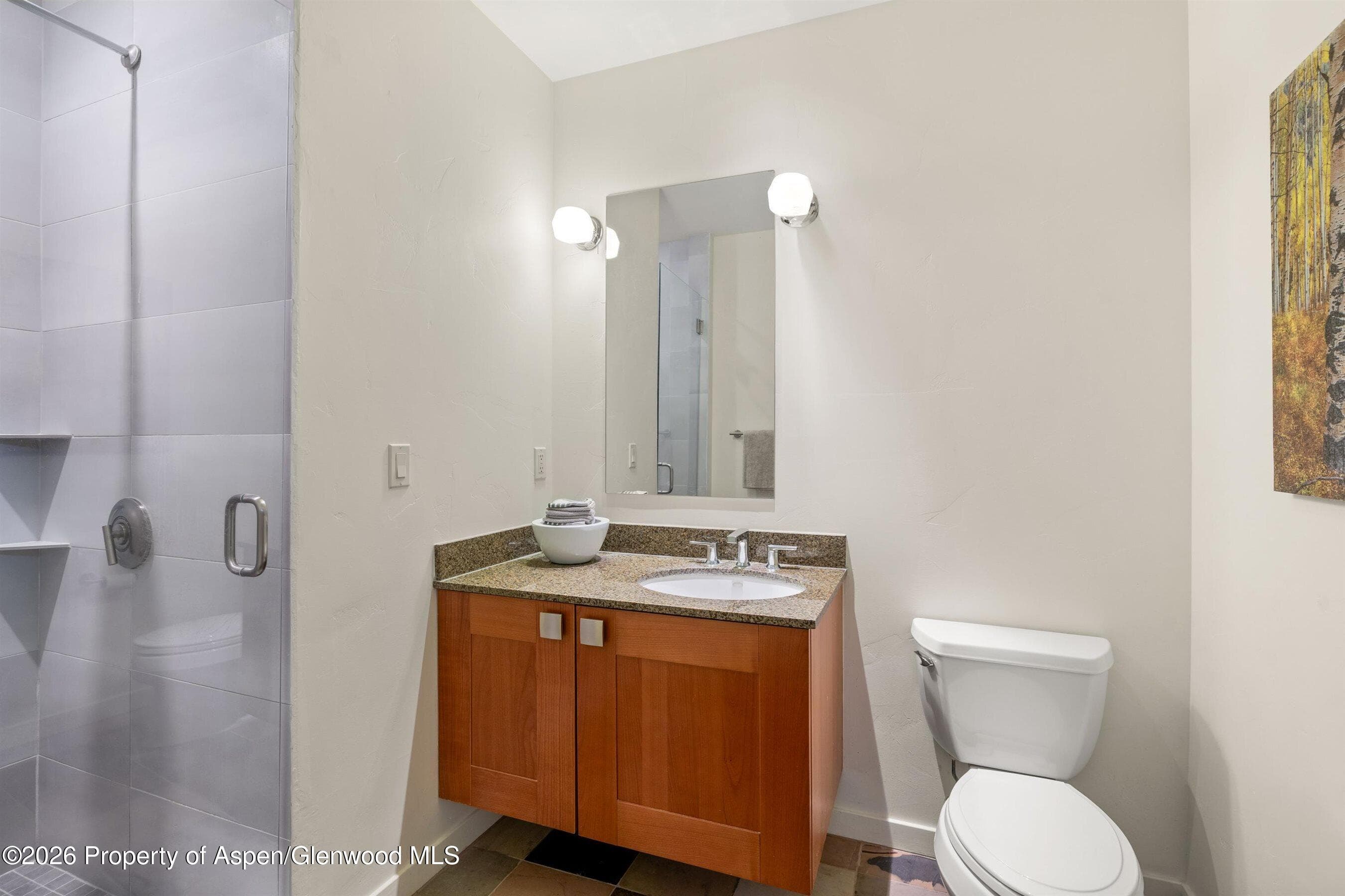 231 Robinson Street 218, Basalt, CO 81621 - Photo 13