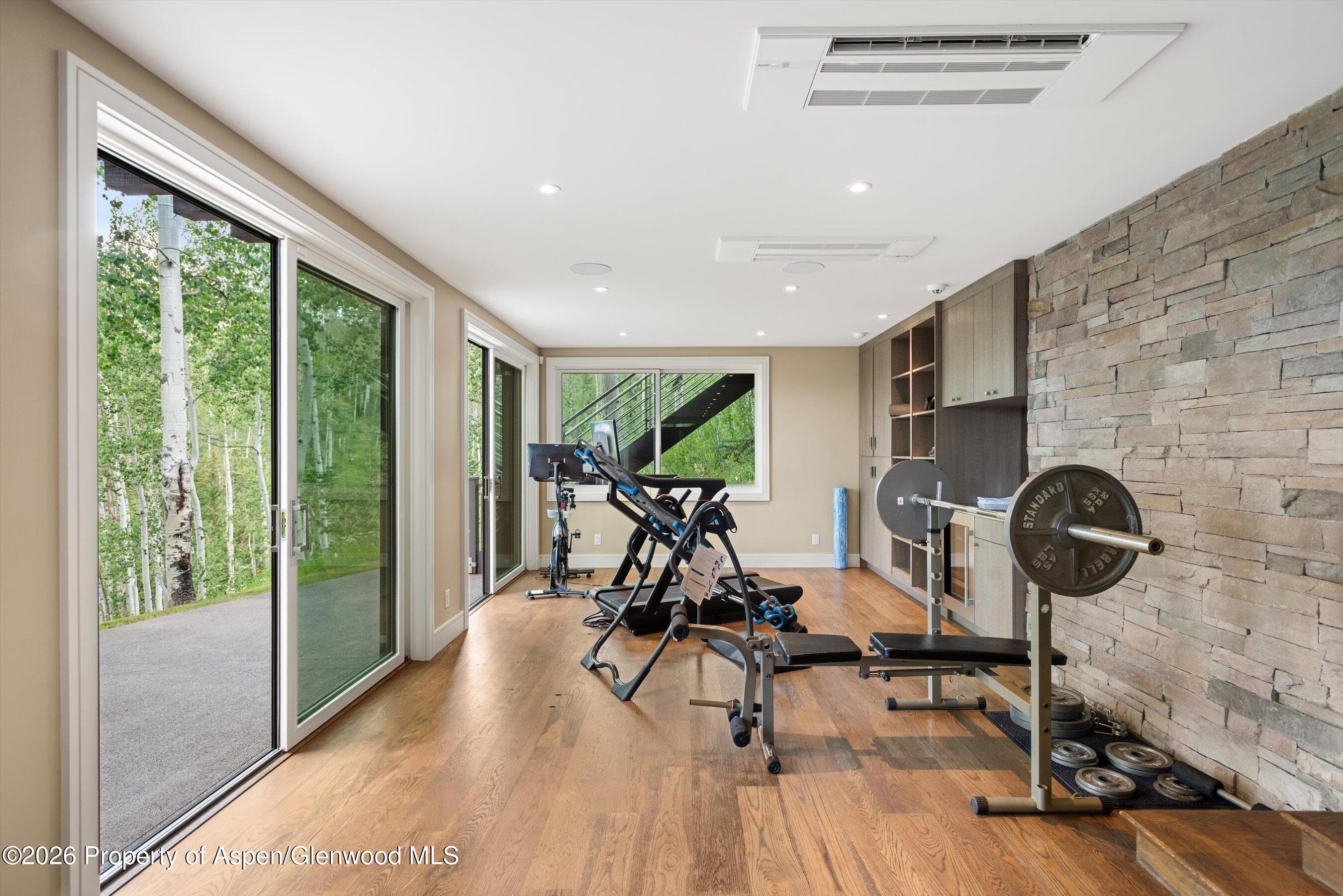 1248 Wood Road, Snowmass Village, CO 81615 - Photo 44