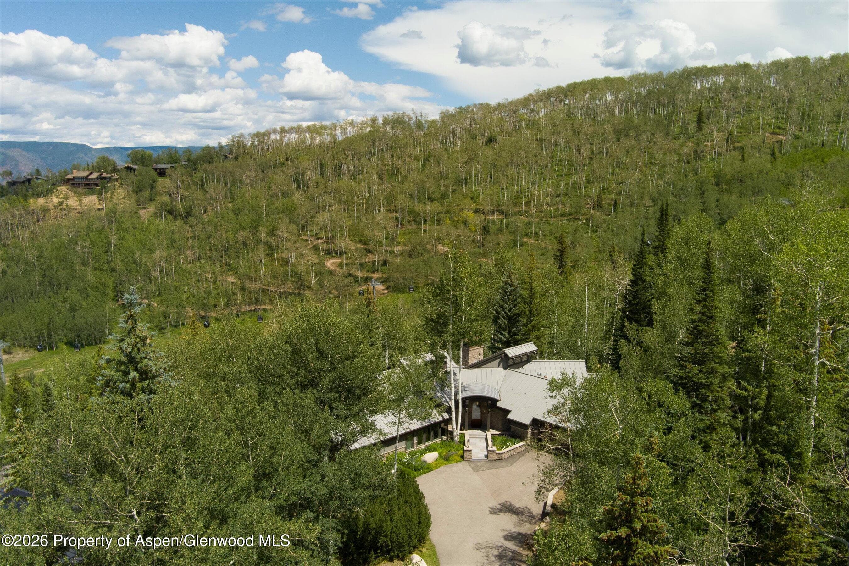 1248 Wood Road, Snowmass Village, CO 81615 - Photo 68
