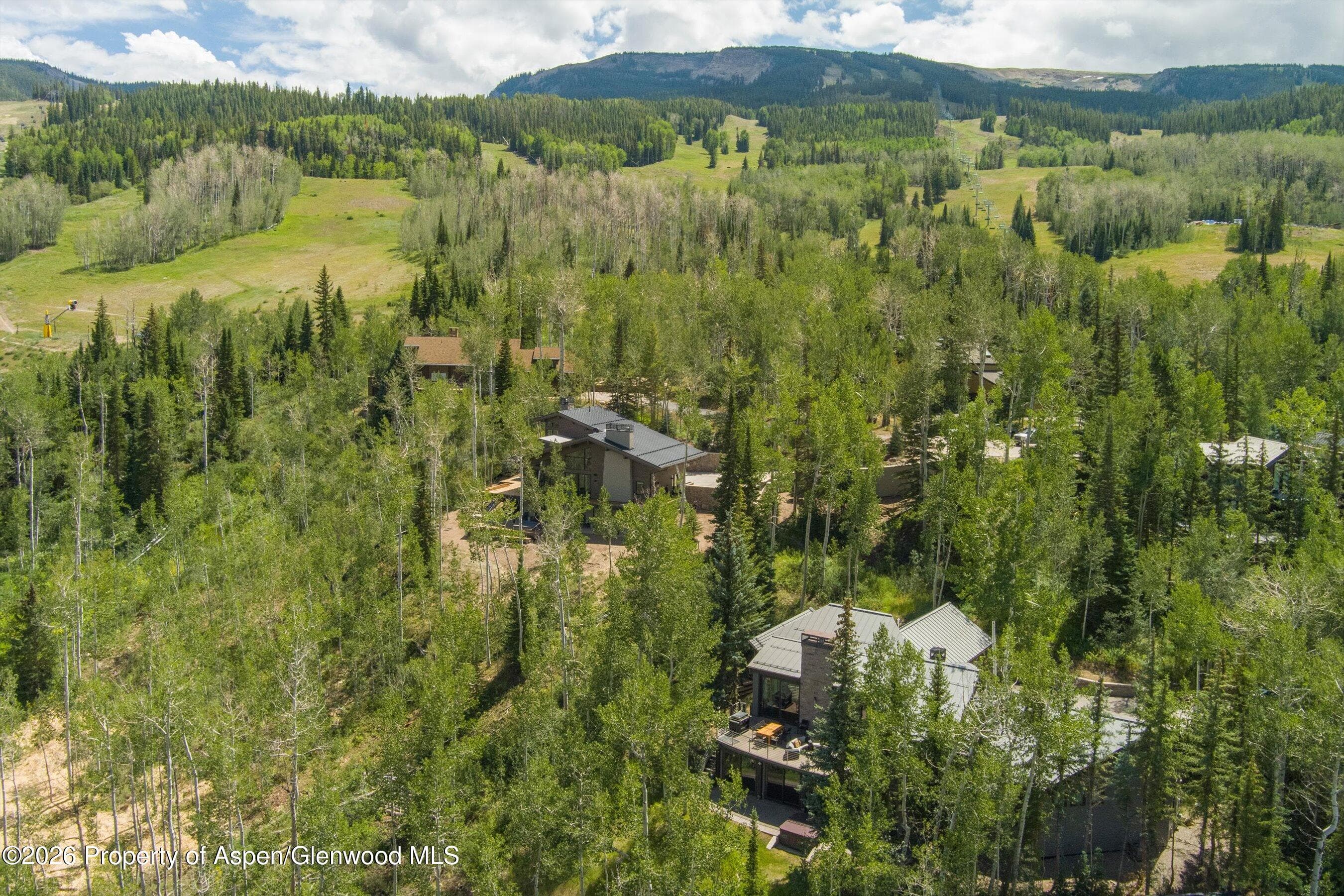 1248 Wood Road, Snowmass Village, CO 81615 - Photo 75