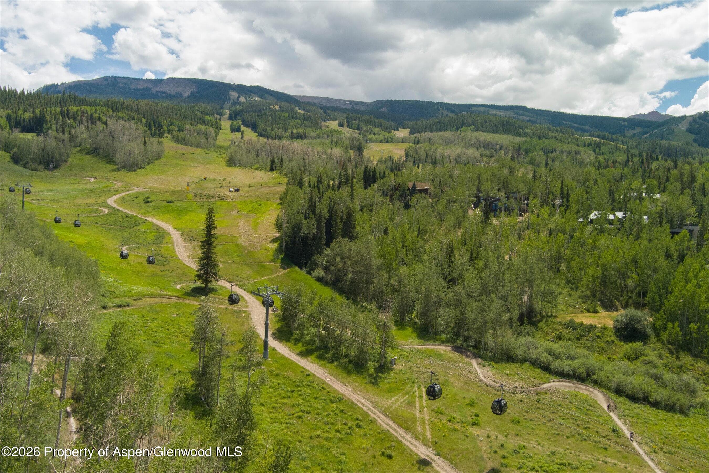 1248 Wood Road, Snowmass Village, CO 81615 - Photo 77