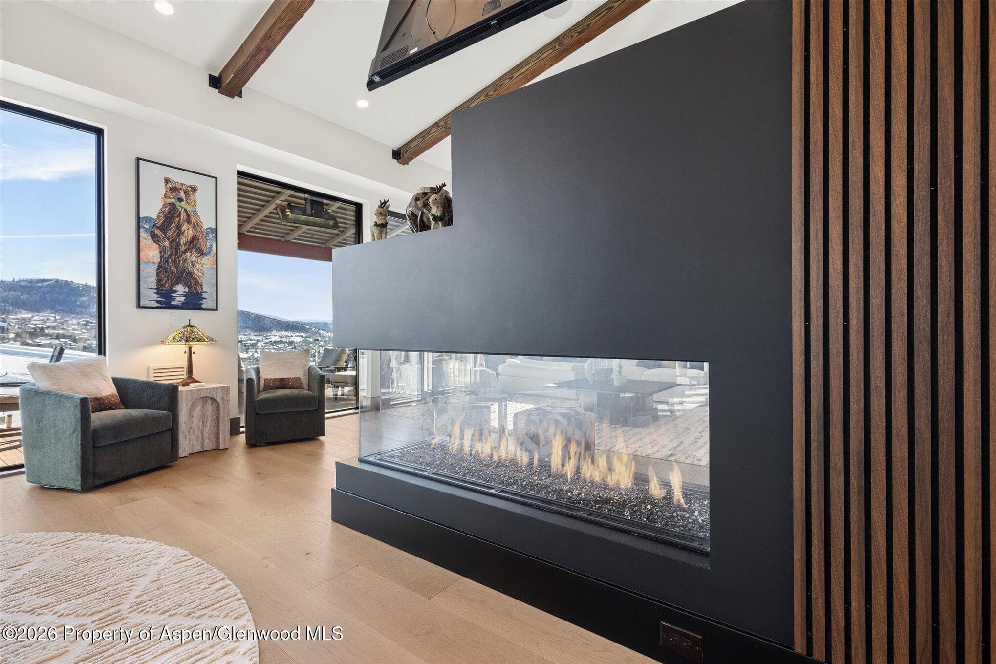 1855 Burgess Creek Road 6, Steamboat, CO 80487 - Photo 22