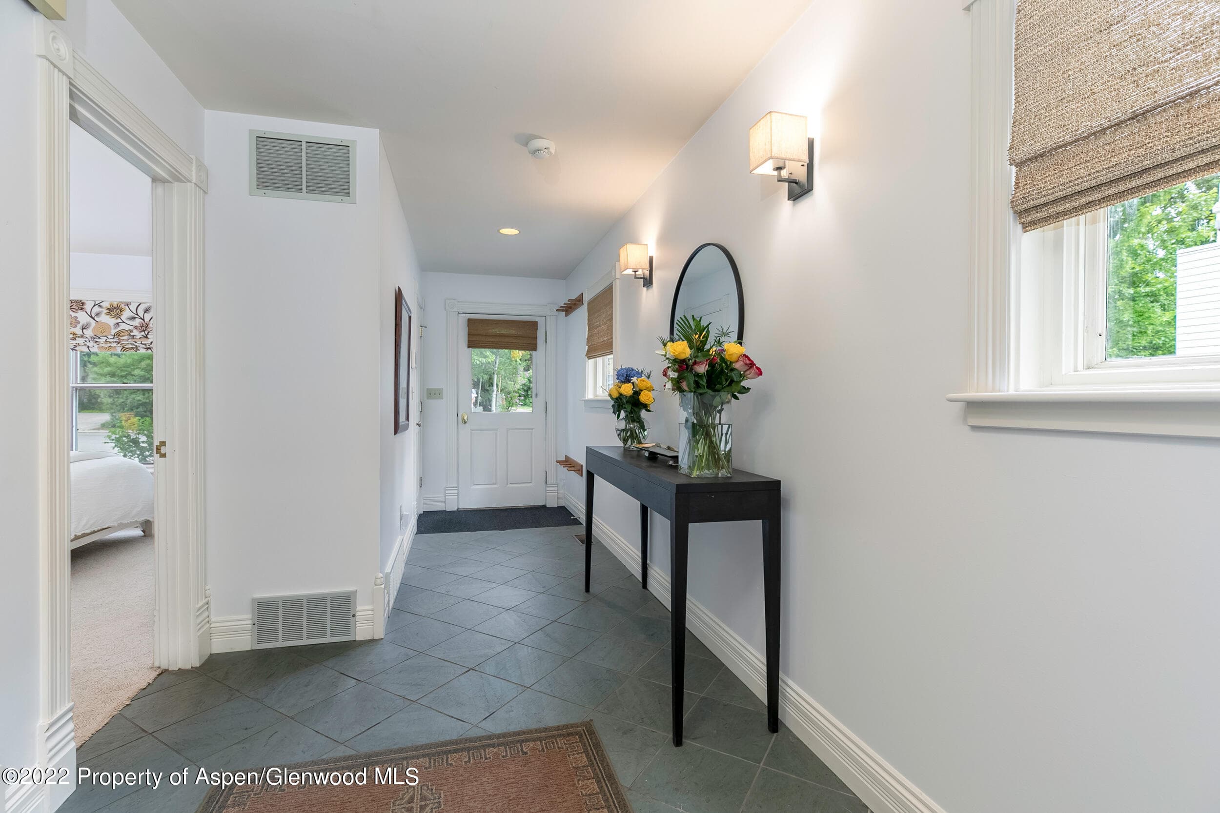 334 W Hallam Street, Aspen, CO 81611 - Photo 20