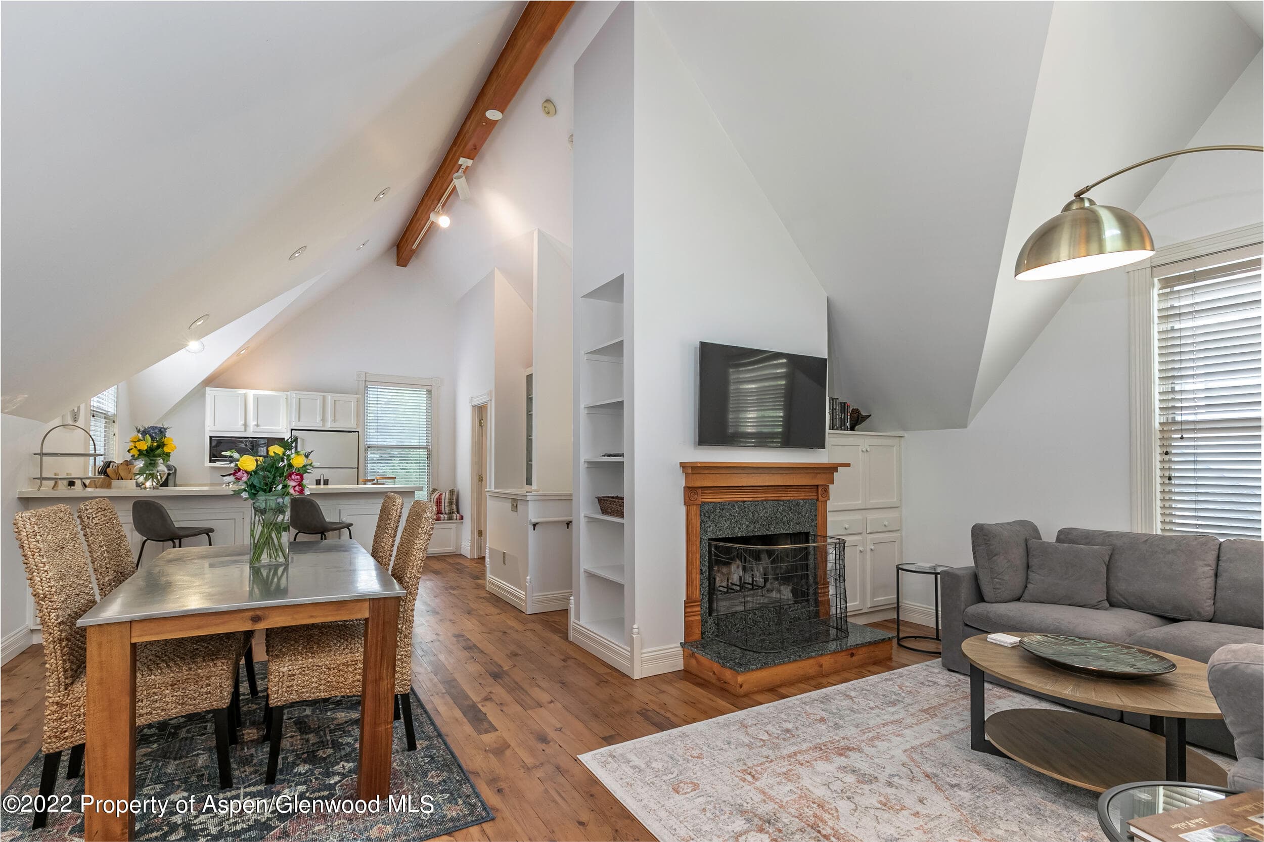 334 W Hallam Street, Aspen, CO 81611 - Photo 21