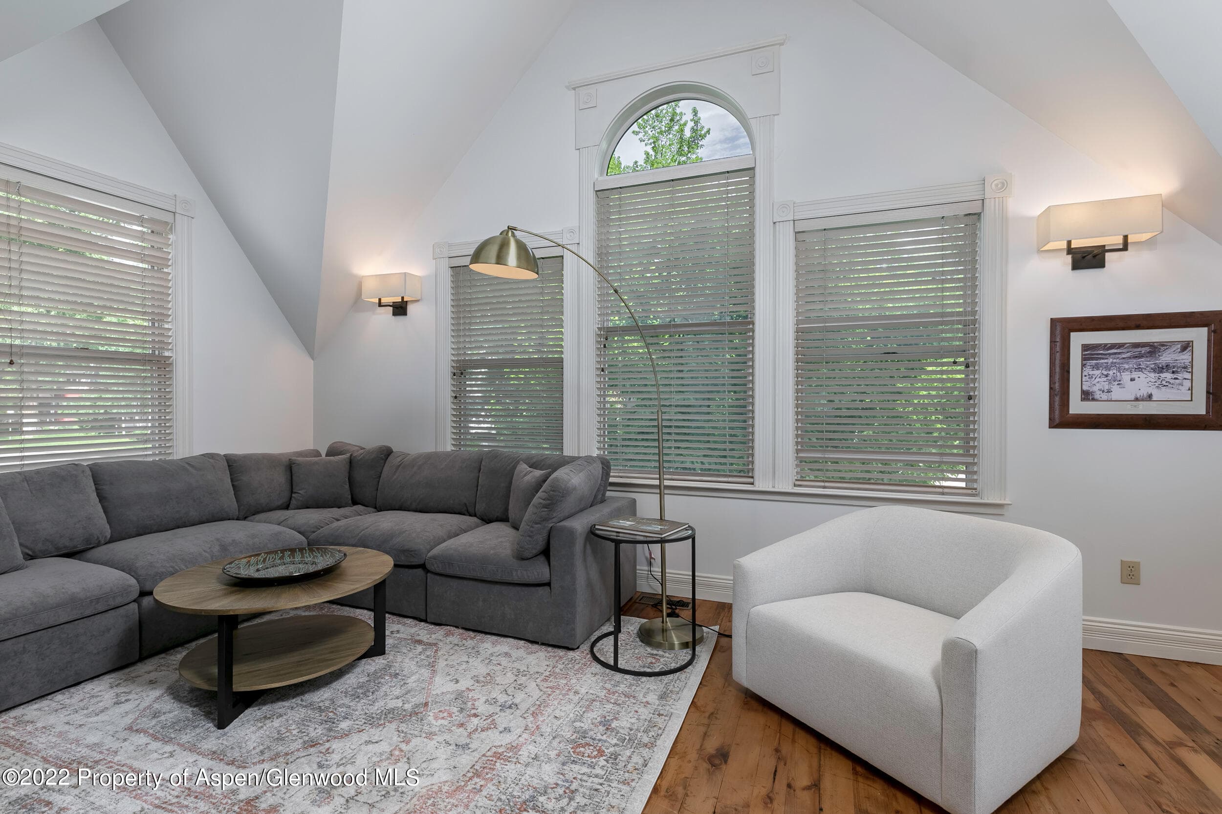 334 W Hallam Street, Aspen, CO 81611 - Photo 23