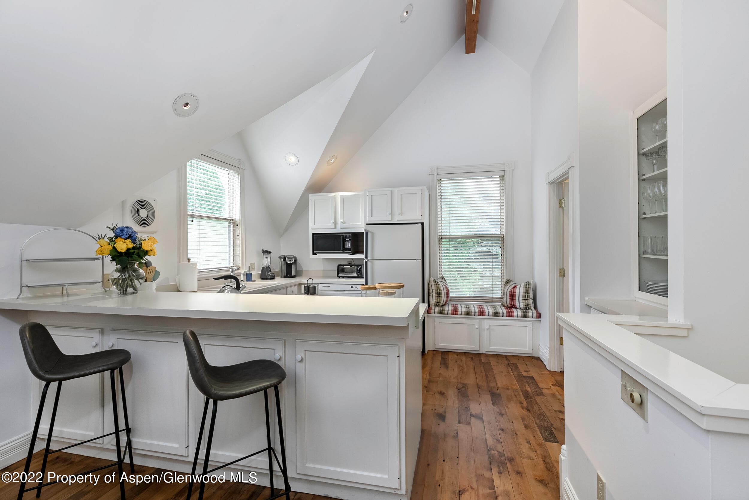 334 W Hallam Street, Aspen, CO 81611 - Photo 24