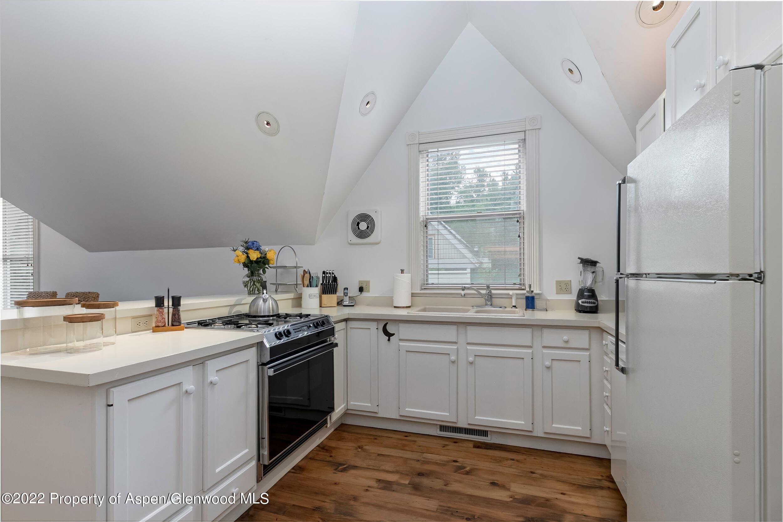 334 W Hallam Street, Aspen, CO 81611 - Photo 25