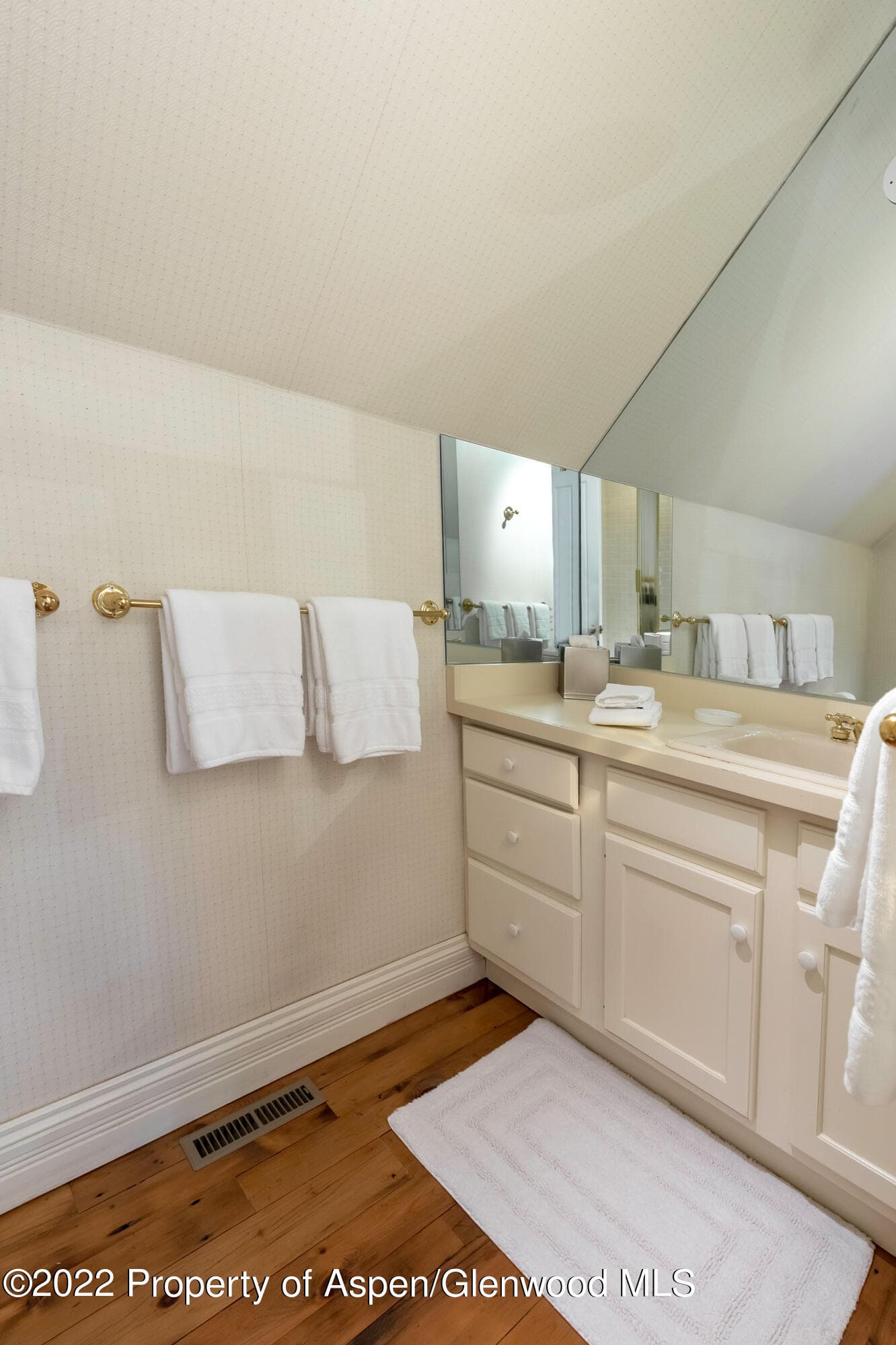 334 W Hallam Street, Aspen, CO 81611 - Photo 27