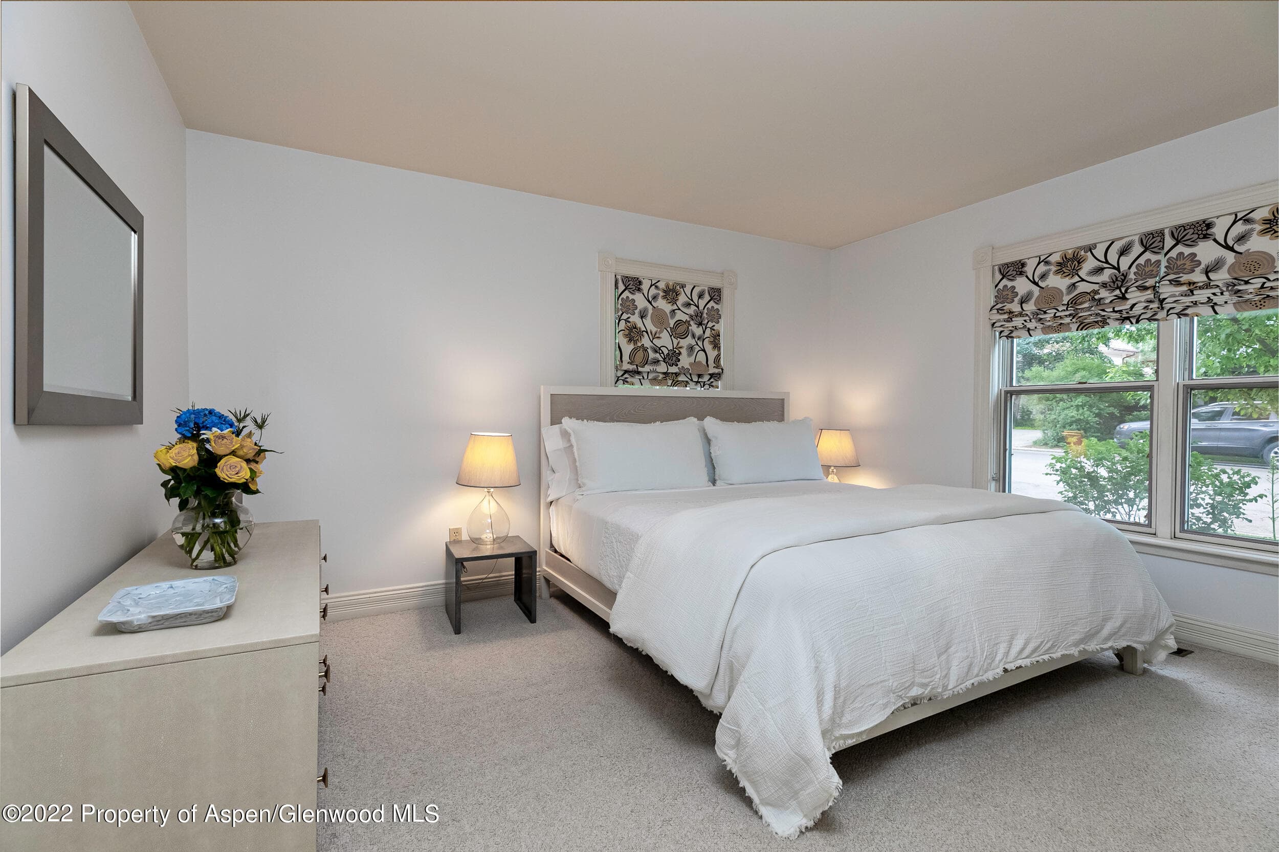 334 W Hallam Street, Aspen, CO 81611 - Photo 28