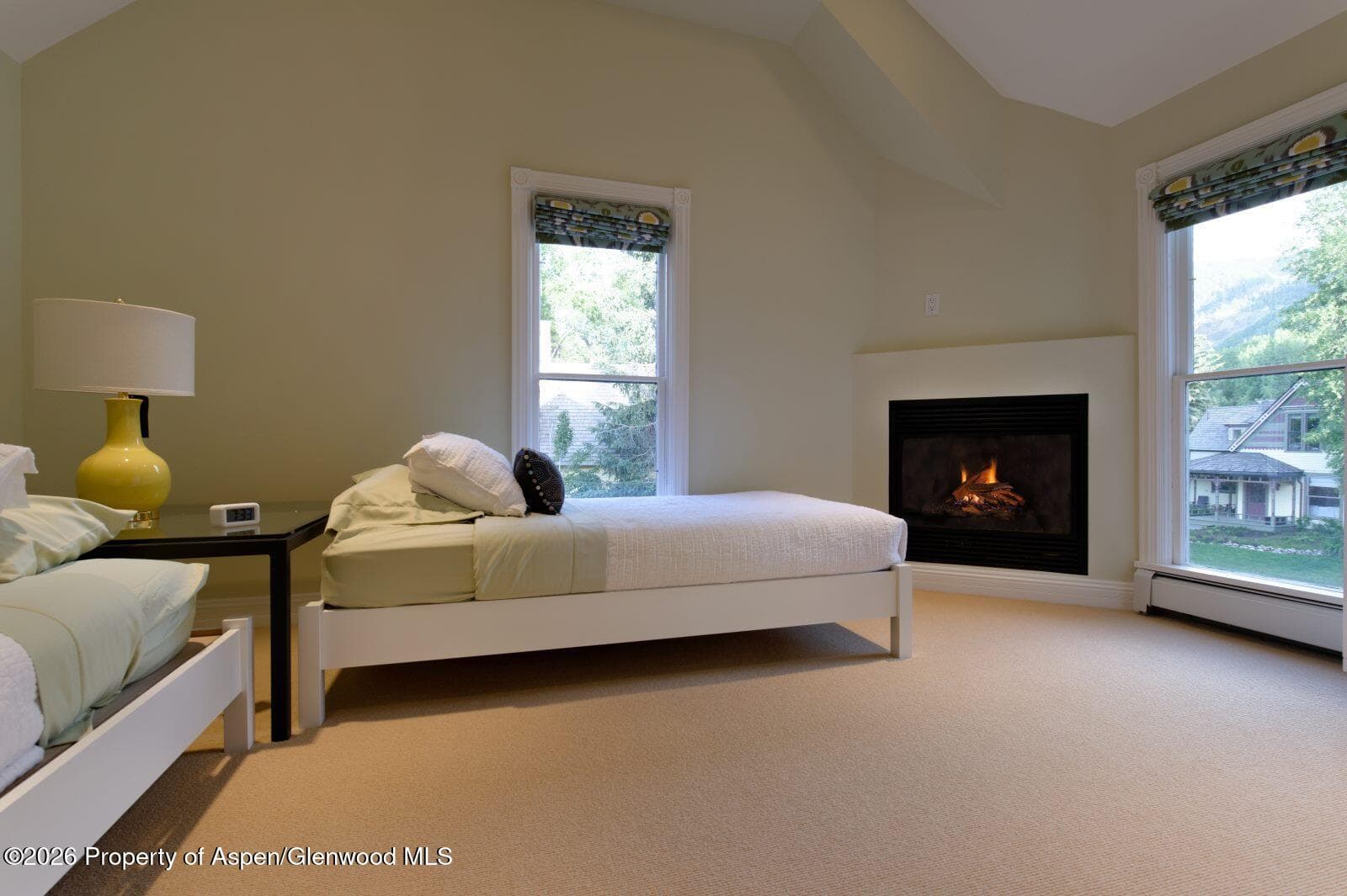 334 W Hallam Street, Aspen, CO 81611 - Photo 16