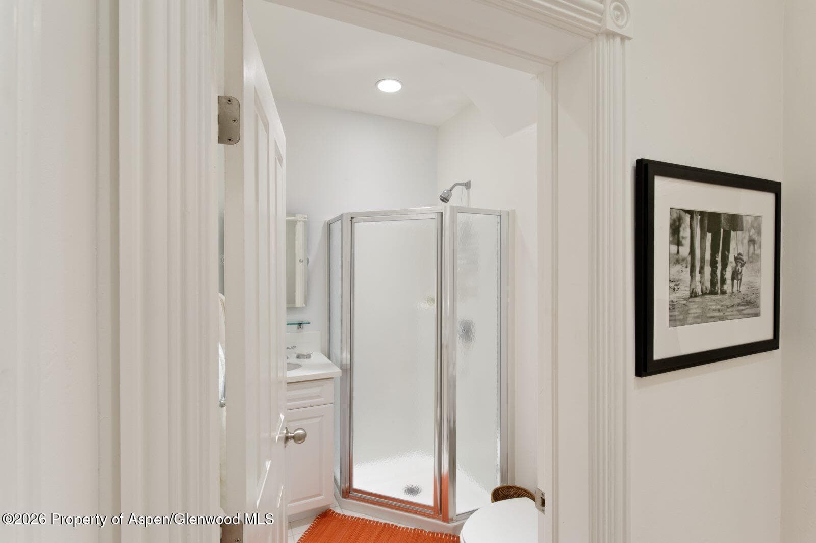 334 W Hallam Street, Aspen, CO 81611 - Photo 17