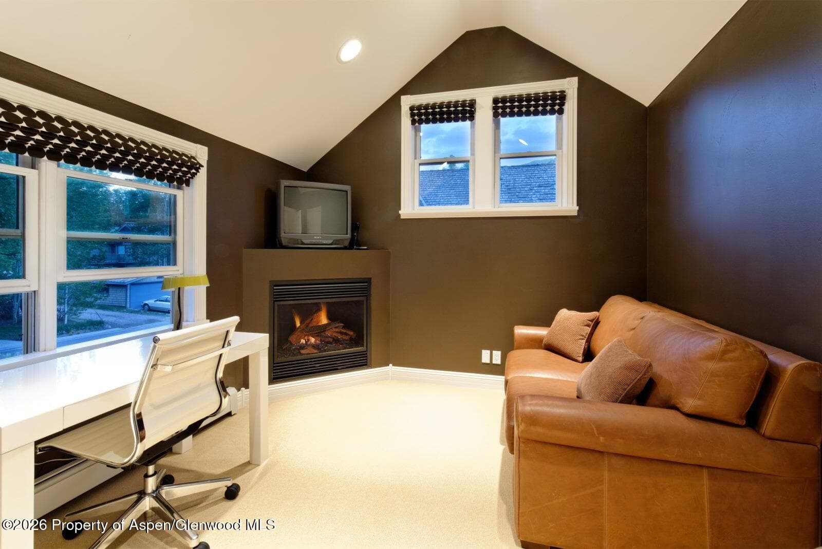 334 W Hallam Street, Aspen, CO 81611 - Photo 15