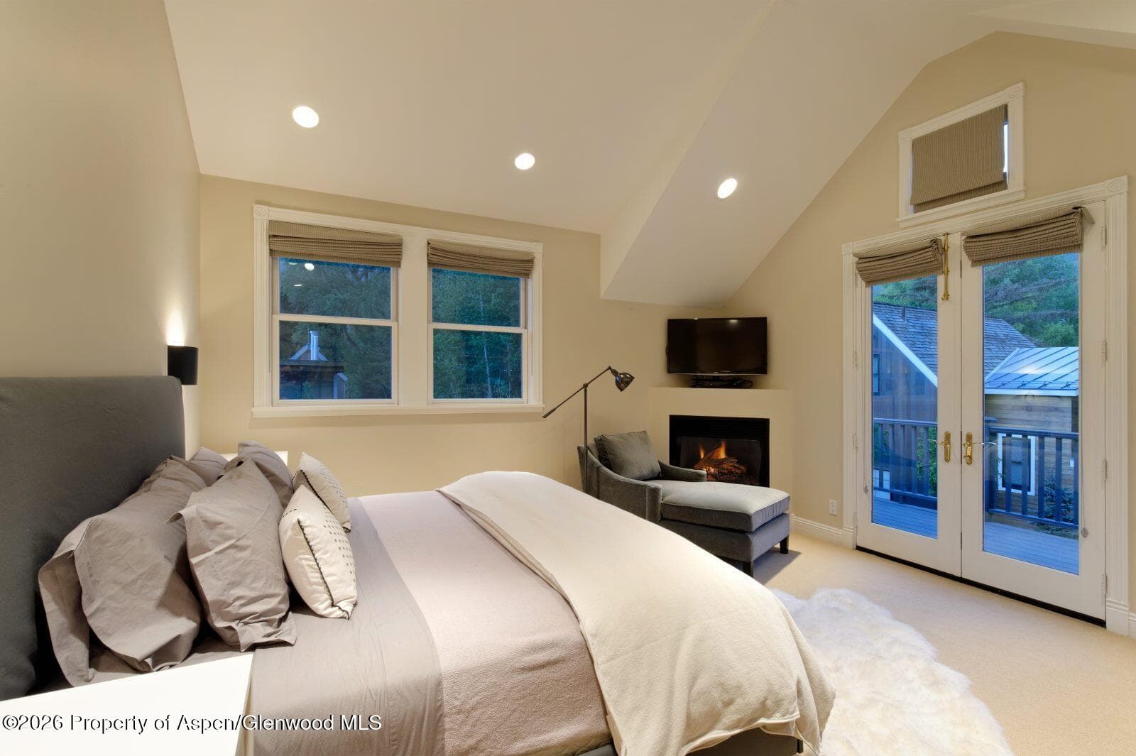 334 W Hallam Street, Aspen, CO 81611 - Photo 10
