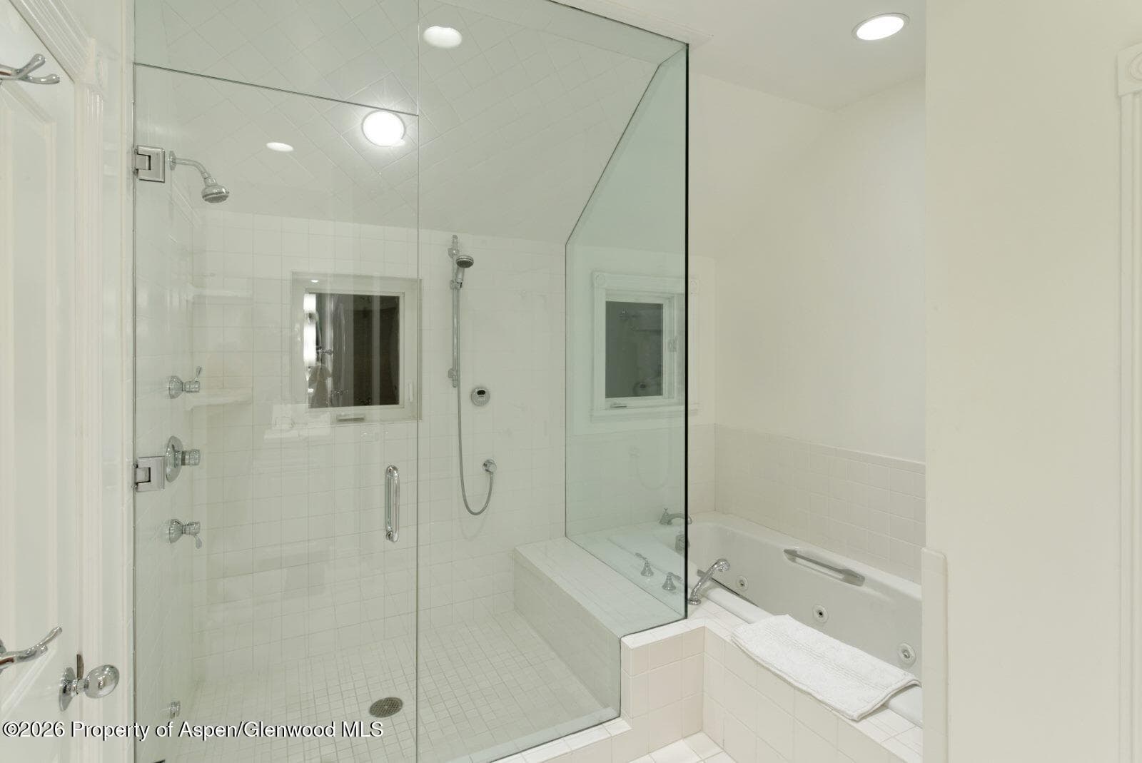 334 W Hallam Street, Aspen, CO 81611 - Photo 11
