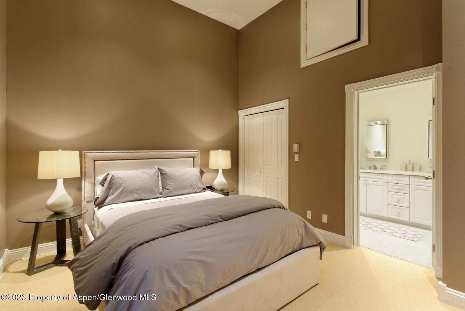 334 W Hallam Street, Aspen, CO 81611 - Photo 13