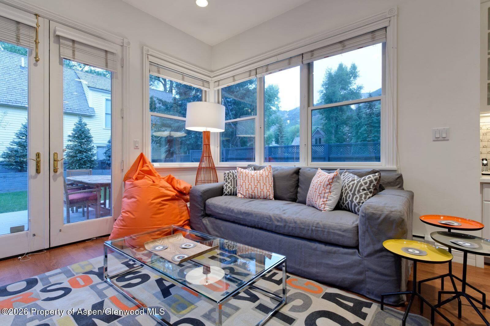 334 W Hallam Street, Aspen, CO 81611 - Photo 9