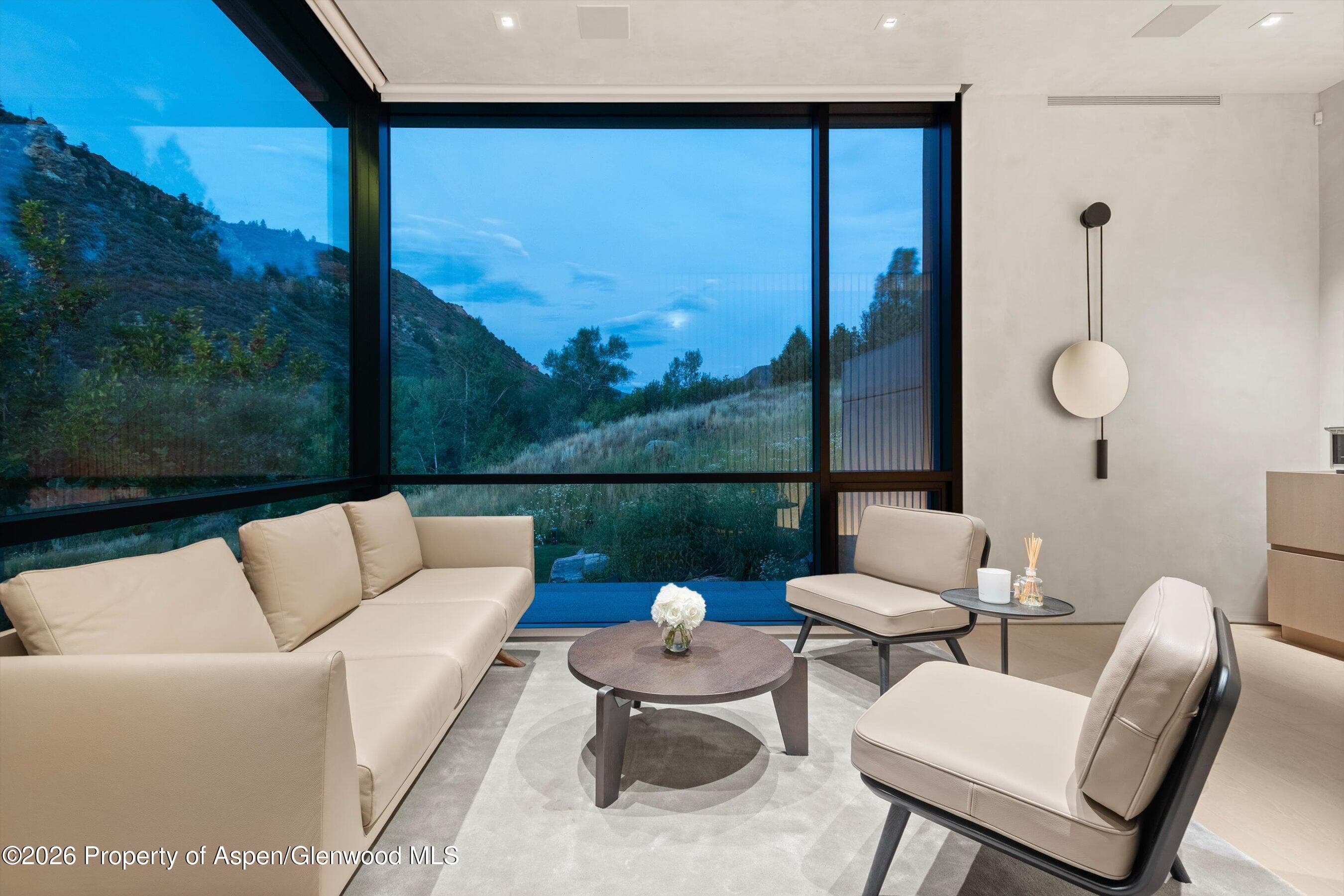 110 Coach Road, Aspen, CO 81611 - Photo 26