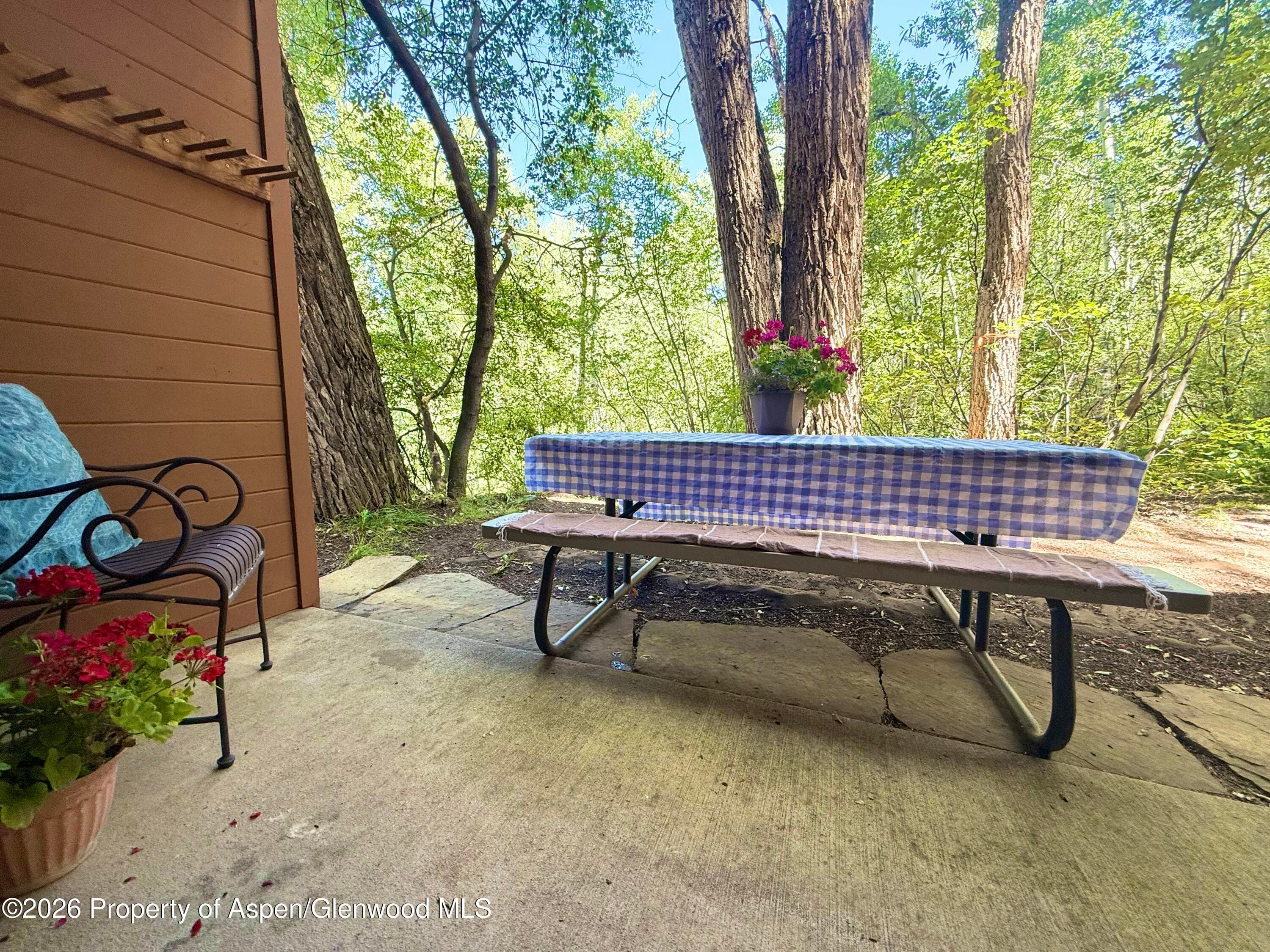 1214 Vine Street 1214, Aspen, CO 81611 - Photo 2