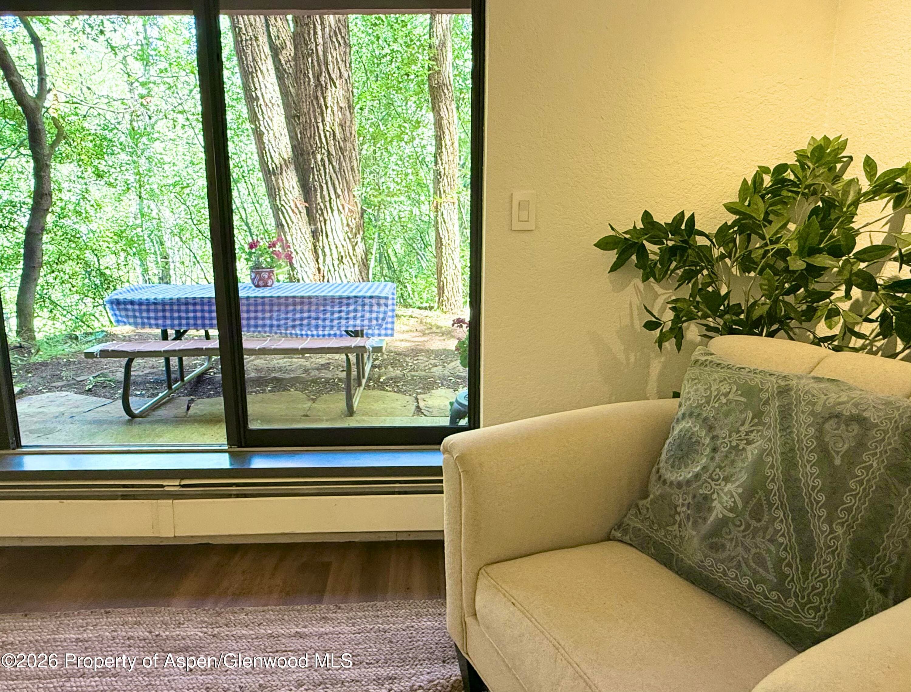 1214 Vine Street 1214, Aspen, CO 81611 - Photo 9