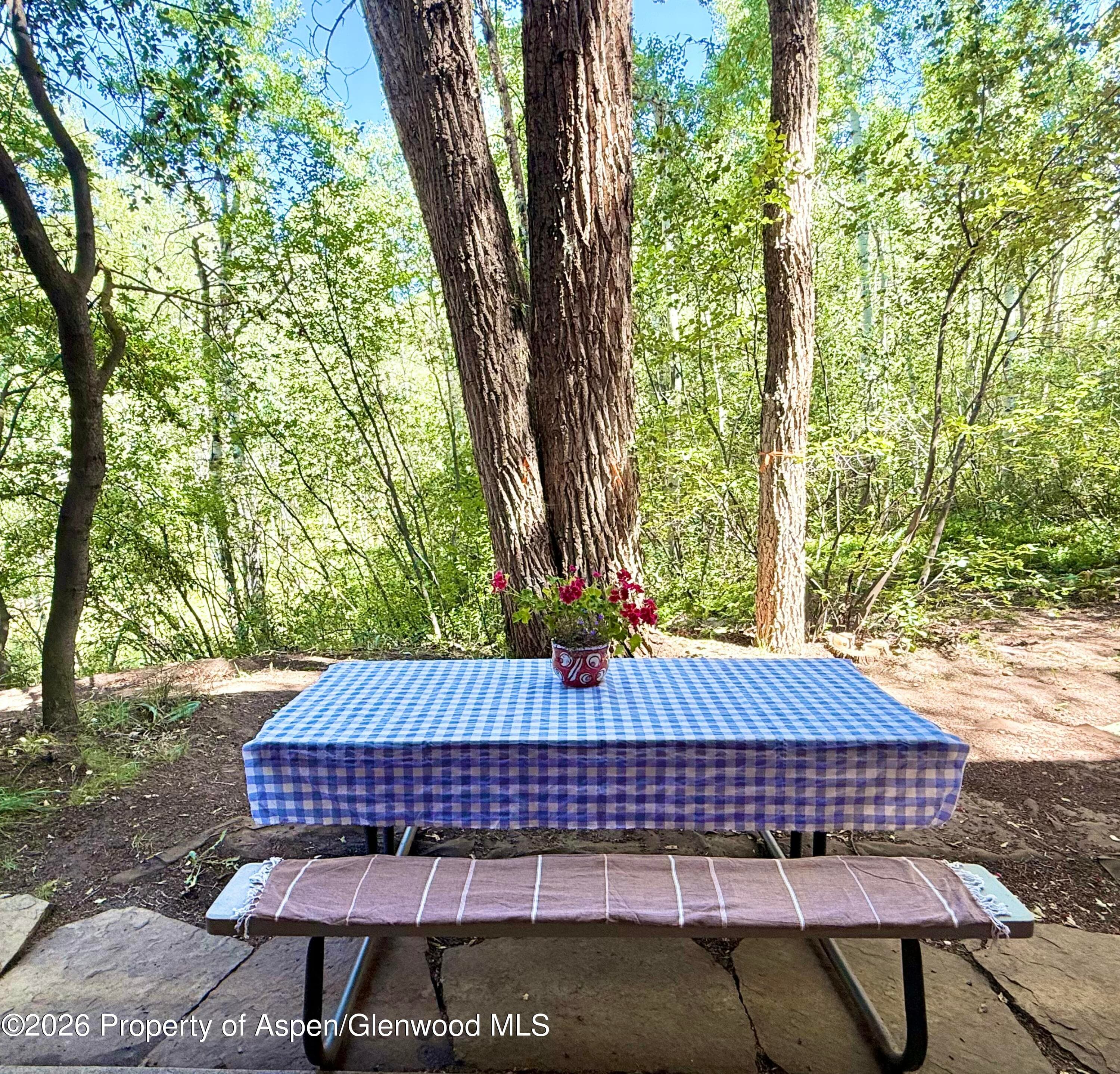 1214 Vine Street 1214, Aspen, CO 81611 - Photo 10