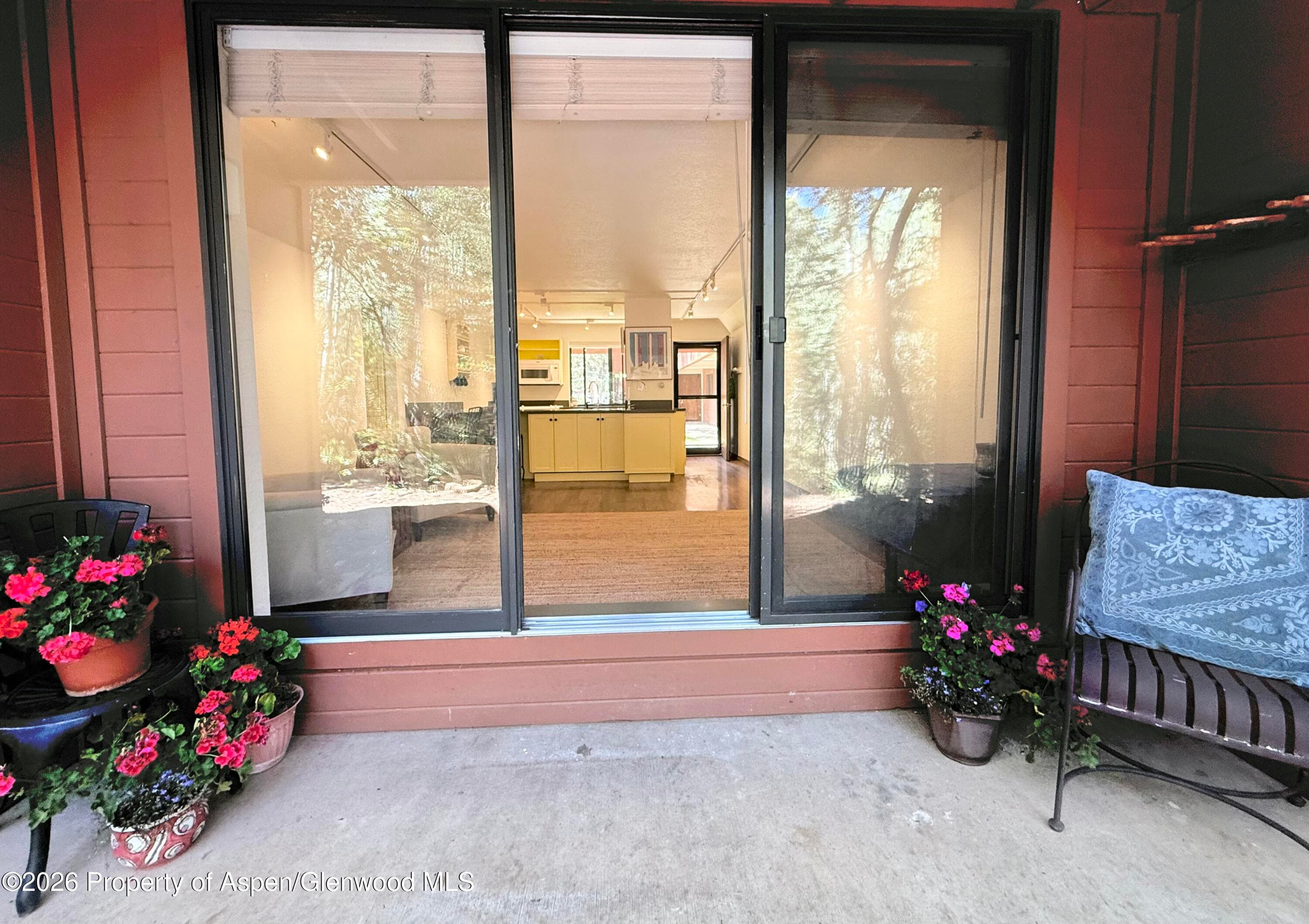 1214 Vine Street 1214, Aspen, CO 81611 - Photo 12