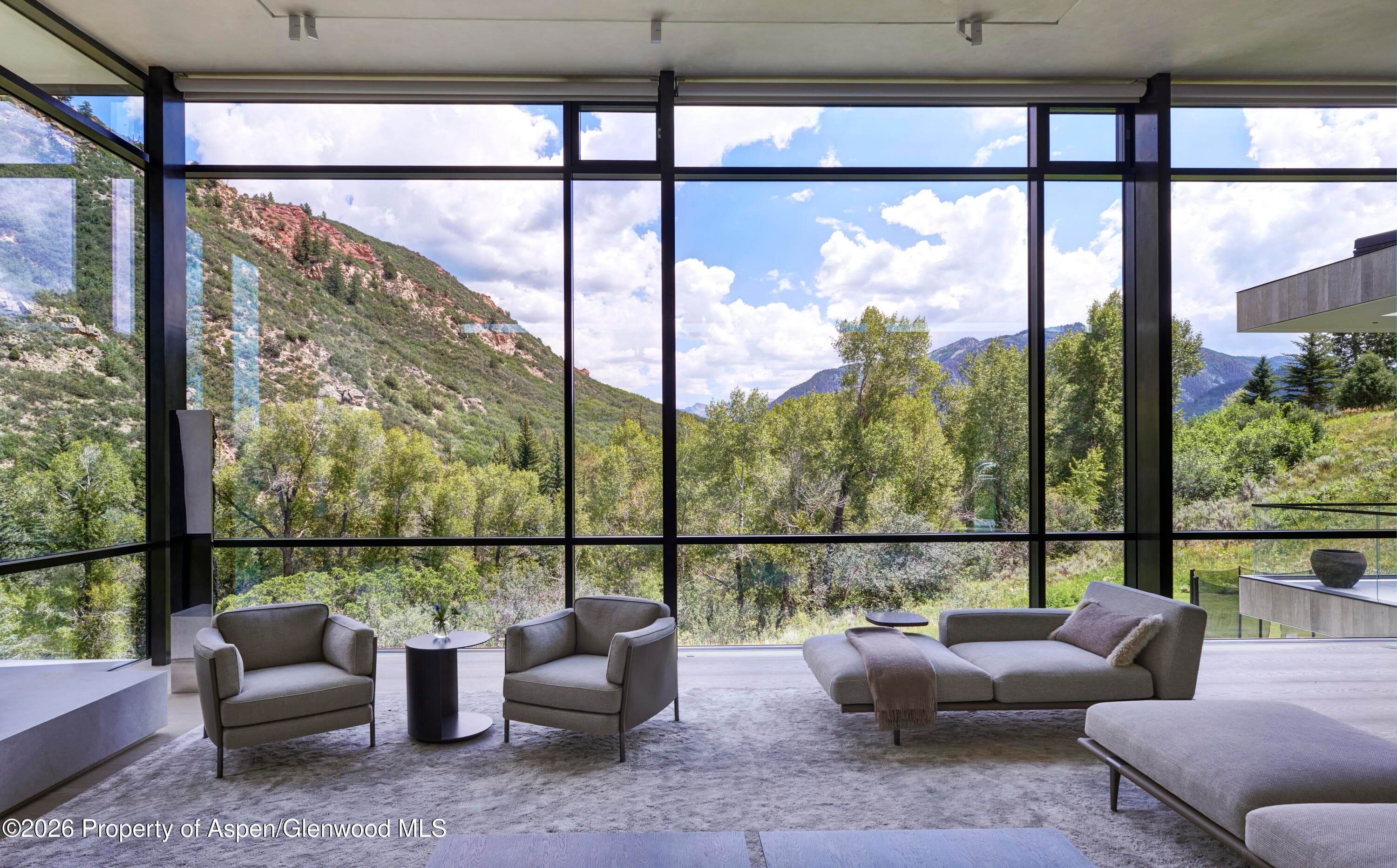 110 Coach Road, Aspen, CO 81611 - Photo 3