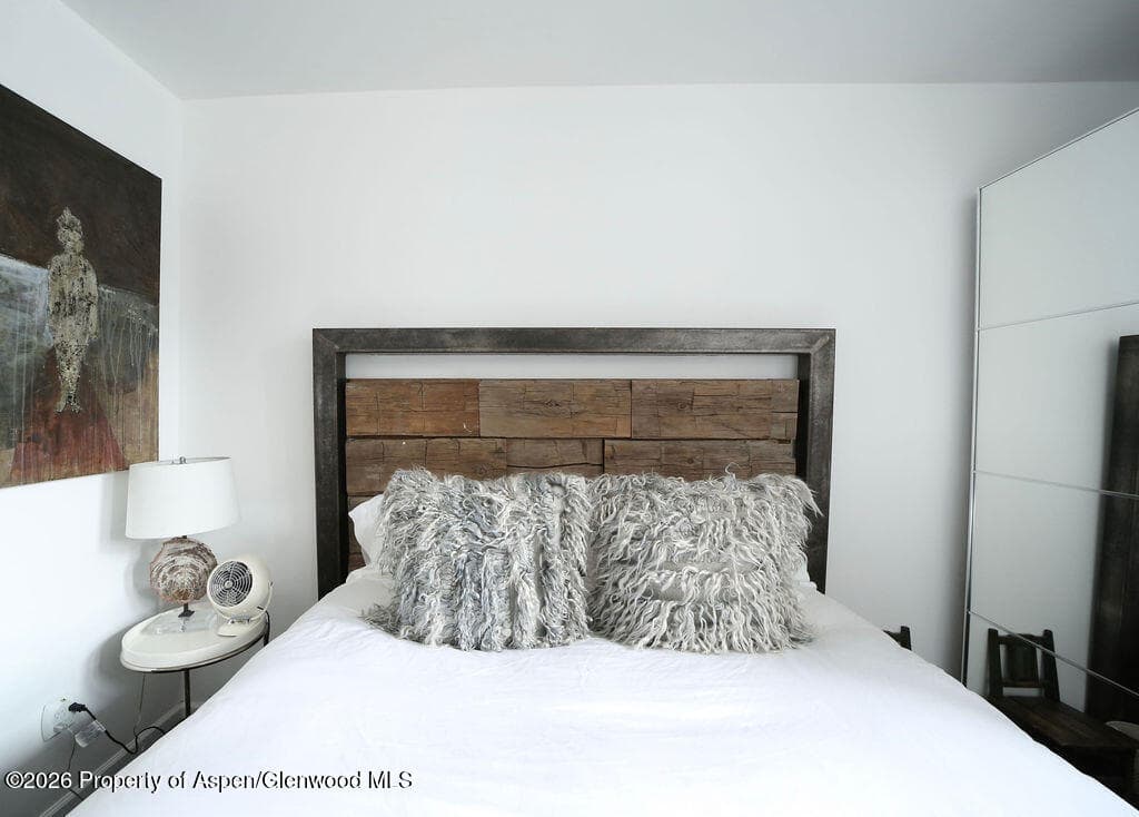 800 S Mill Street 101-C, Aspen, CO 81611 - Photo 18