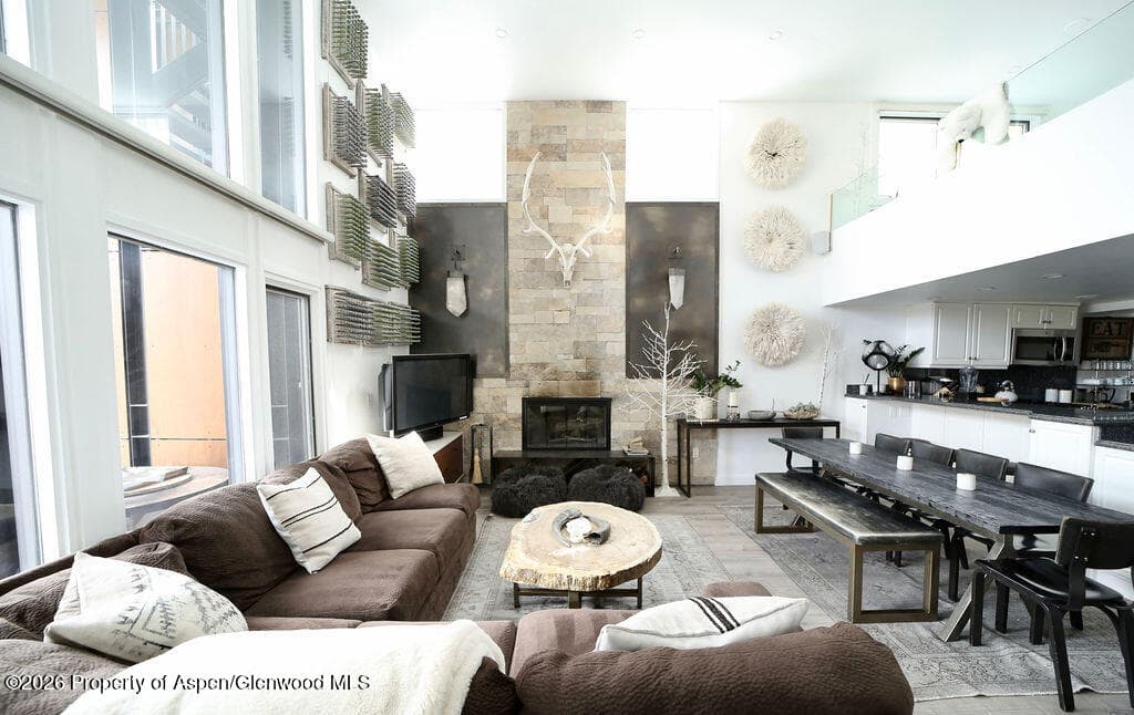 800 S Mill Street 101-C, Aspen, CO 81611 - Photo 3