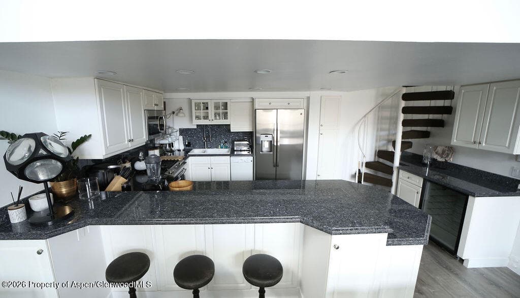 800 S Mill Street 101-C, Aspen, CO 81611 - Photo 8