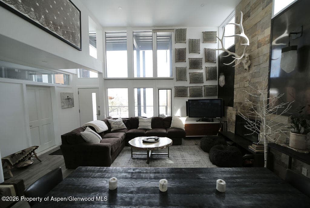 800 S Mill Street 101-C, Aspen, CO 81611 - Photo 5