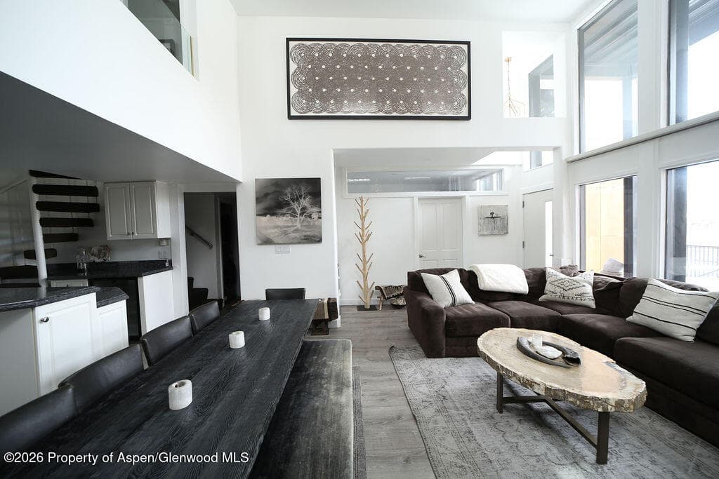 800 S Mill Street 101-C, Aspen, CO 81611 - Photo 10
