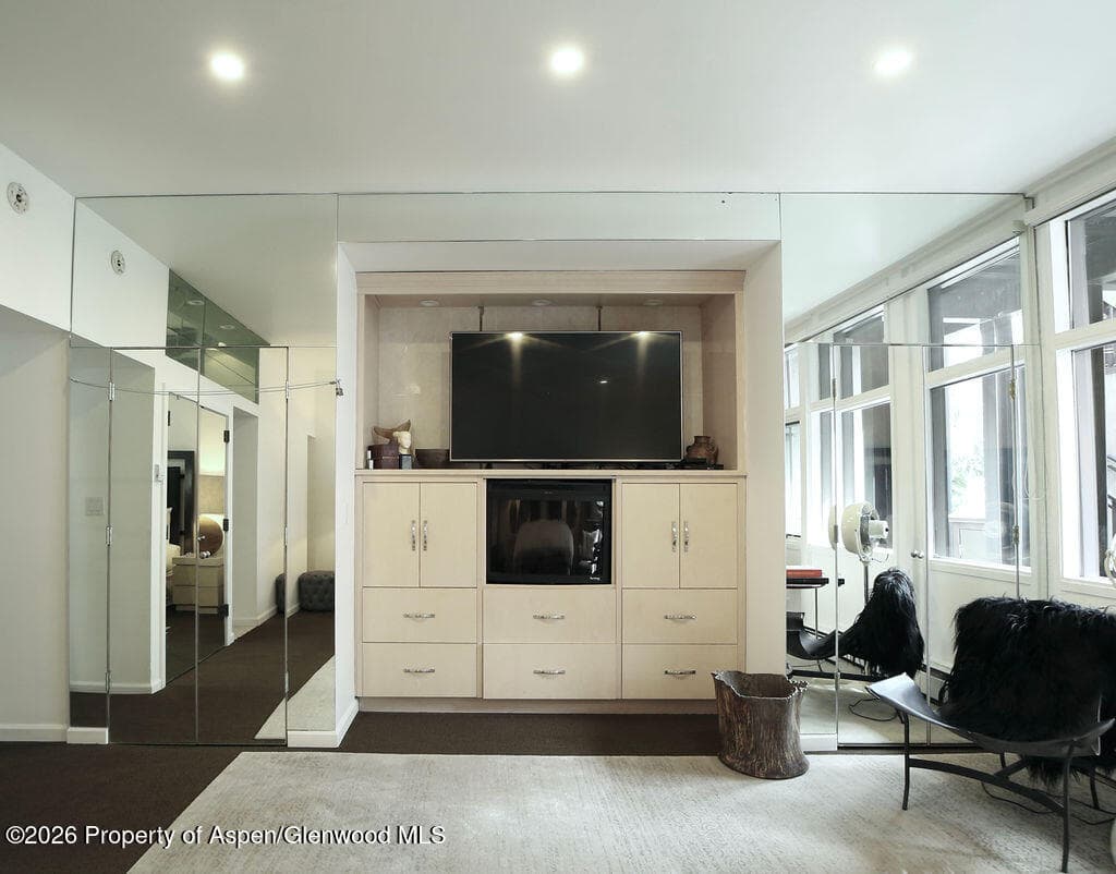 800 S Mill Street 101-C, Aspen, CO 81611 - Photo 13