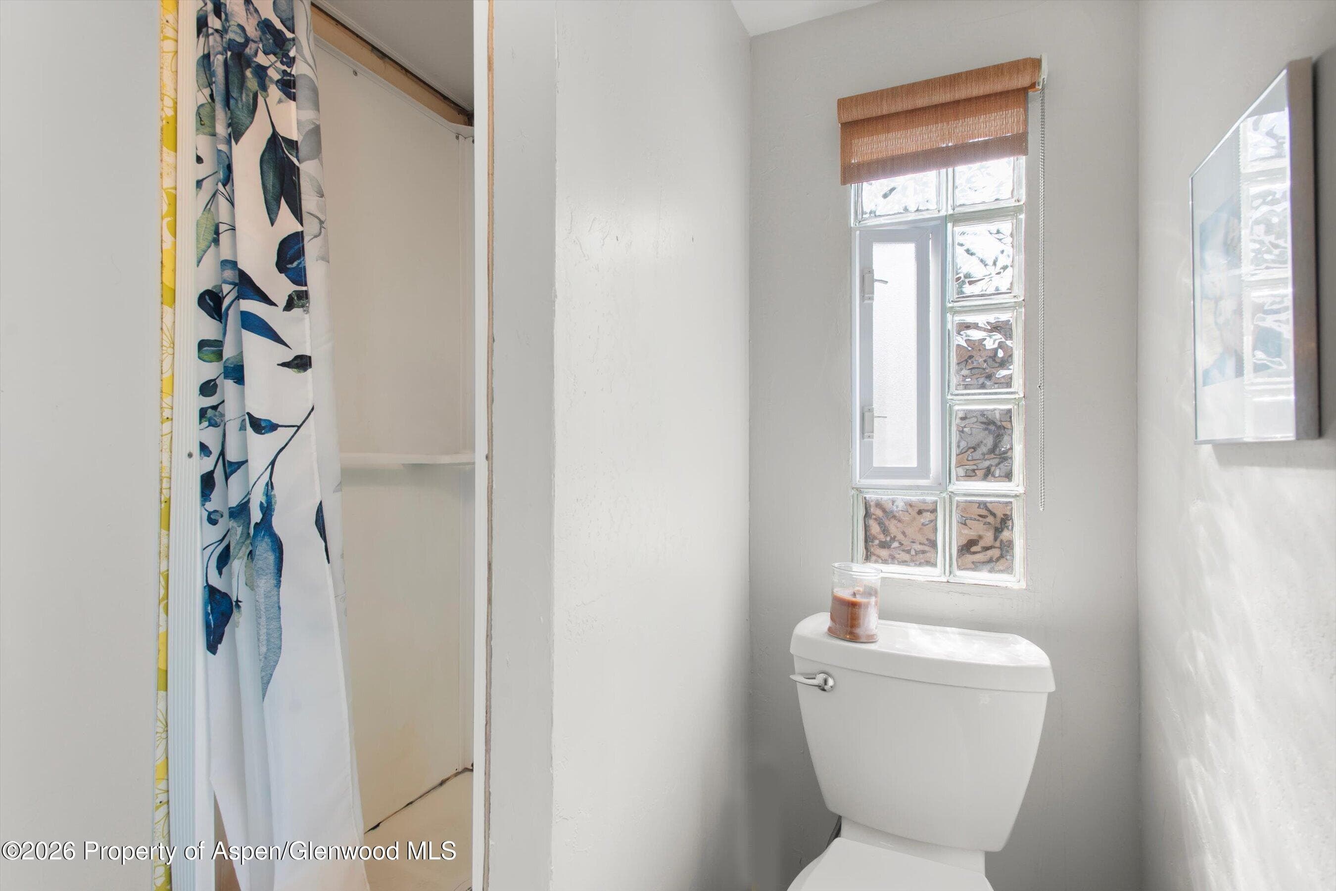 311 Oak Lane, Aspen, CO 81611 - Photo 13