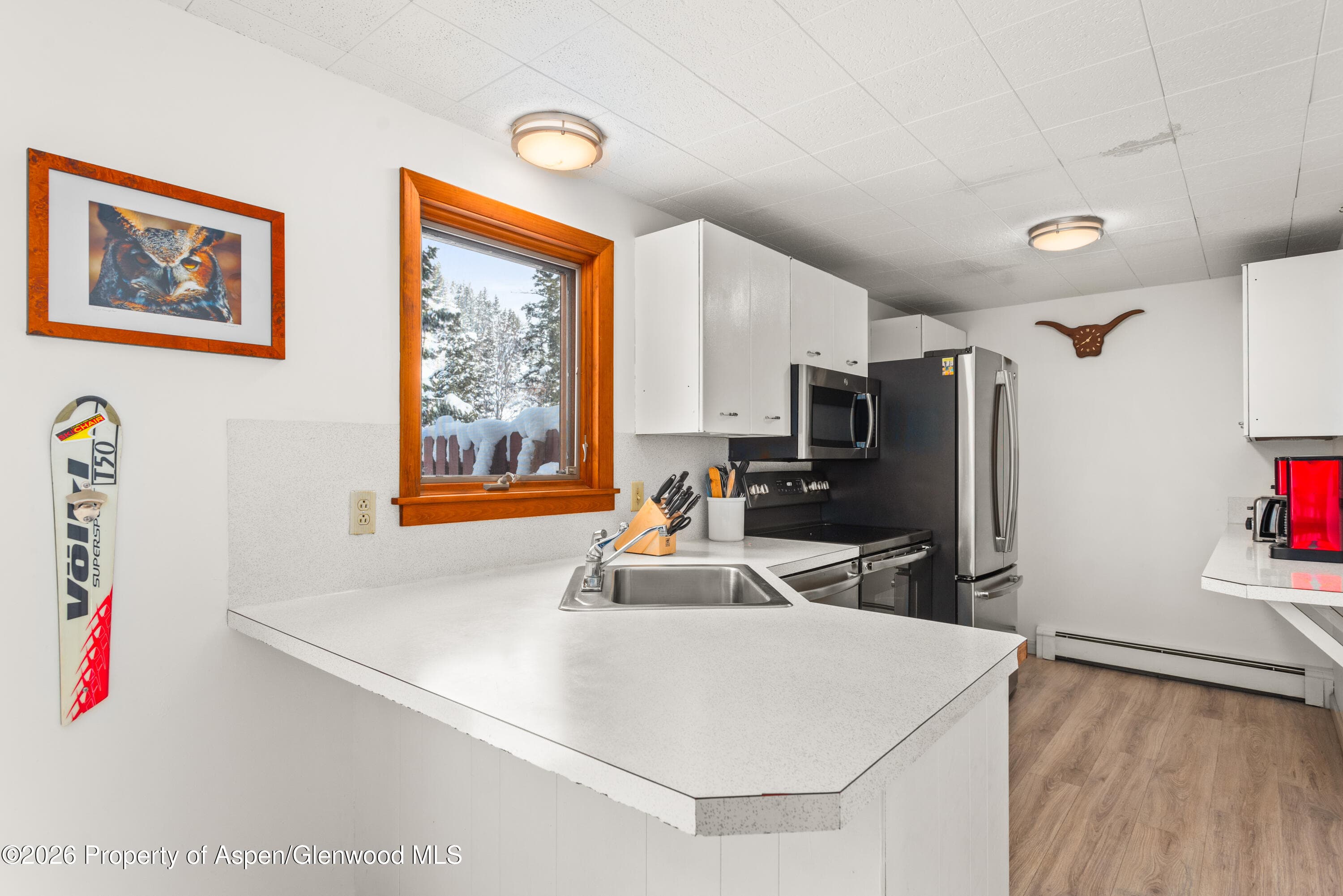 1501 Maroon Creek Road 2, Aspen, CO 81611 - Photo 5