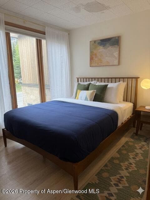 1501 Maroon Creek Road 2, Aspen, CO 81611 - Photo 9