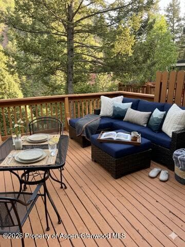 1501 Maroon Creek Road 2, Aspen, CO 81611 - Photo 3