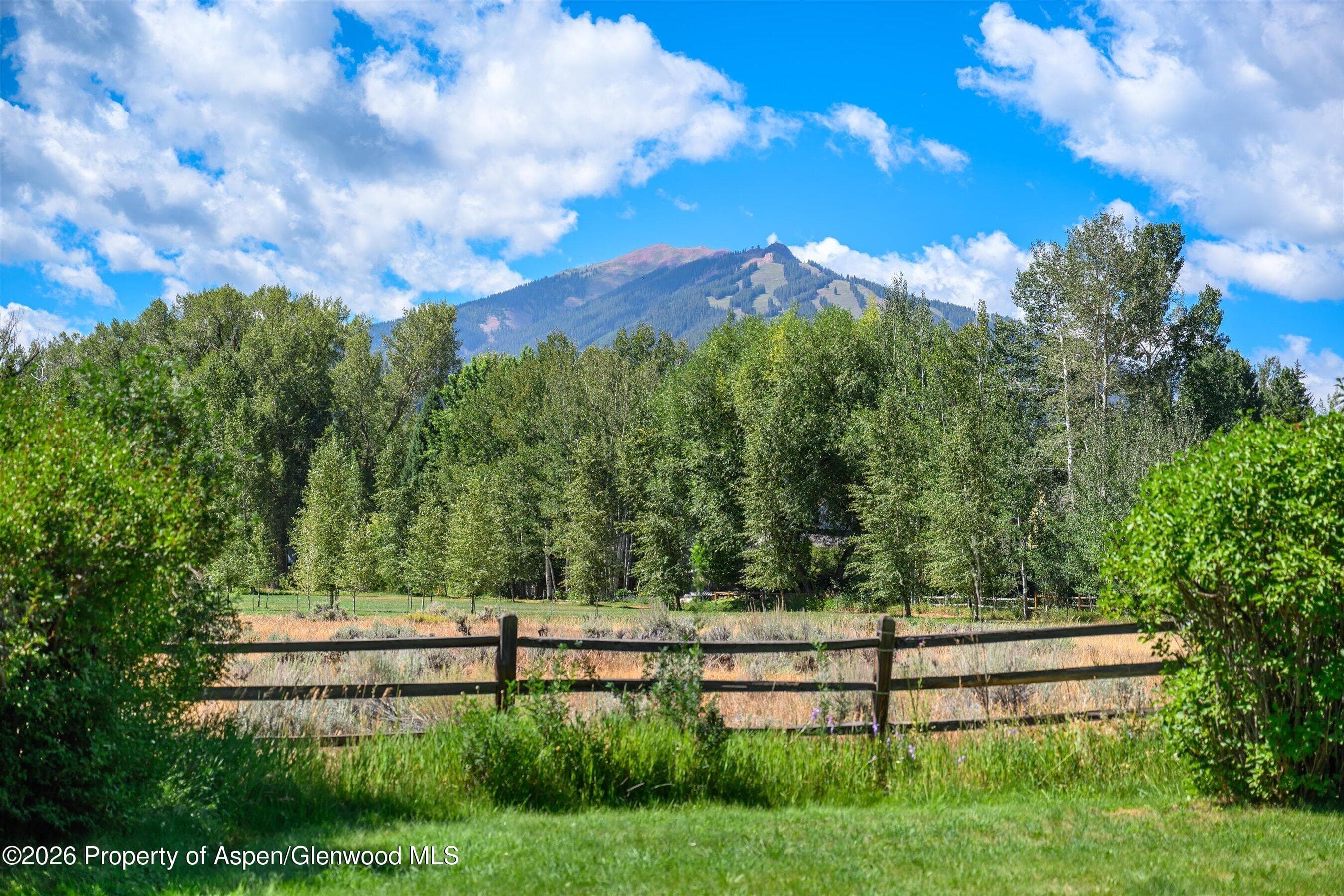 1227 Mountain View Drive Units 1 & 2, Aspen, CO 81611 - Photo 11
