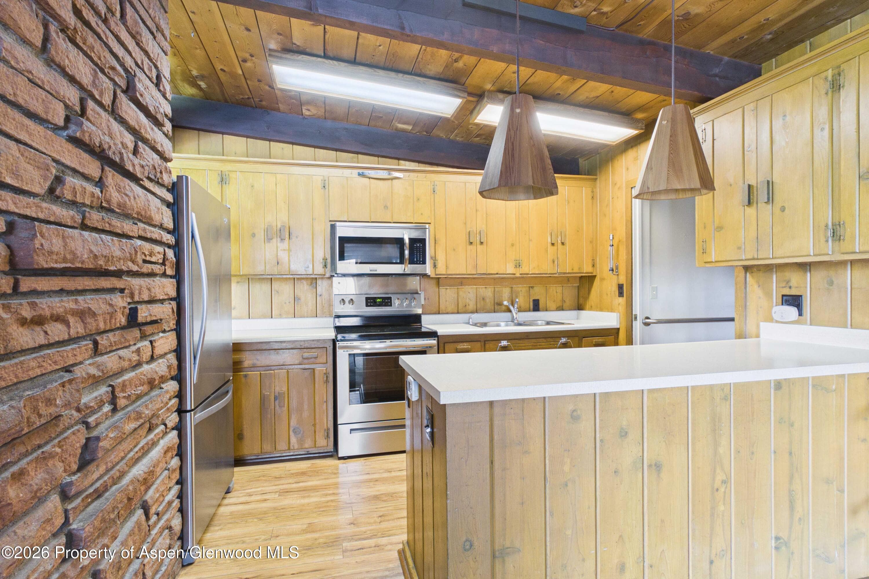 1227 Mountain View Drive Units 1 & 2, Aspen, CO 81611 - Photo 9