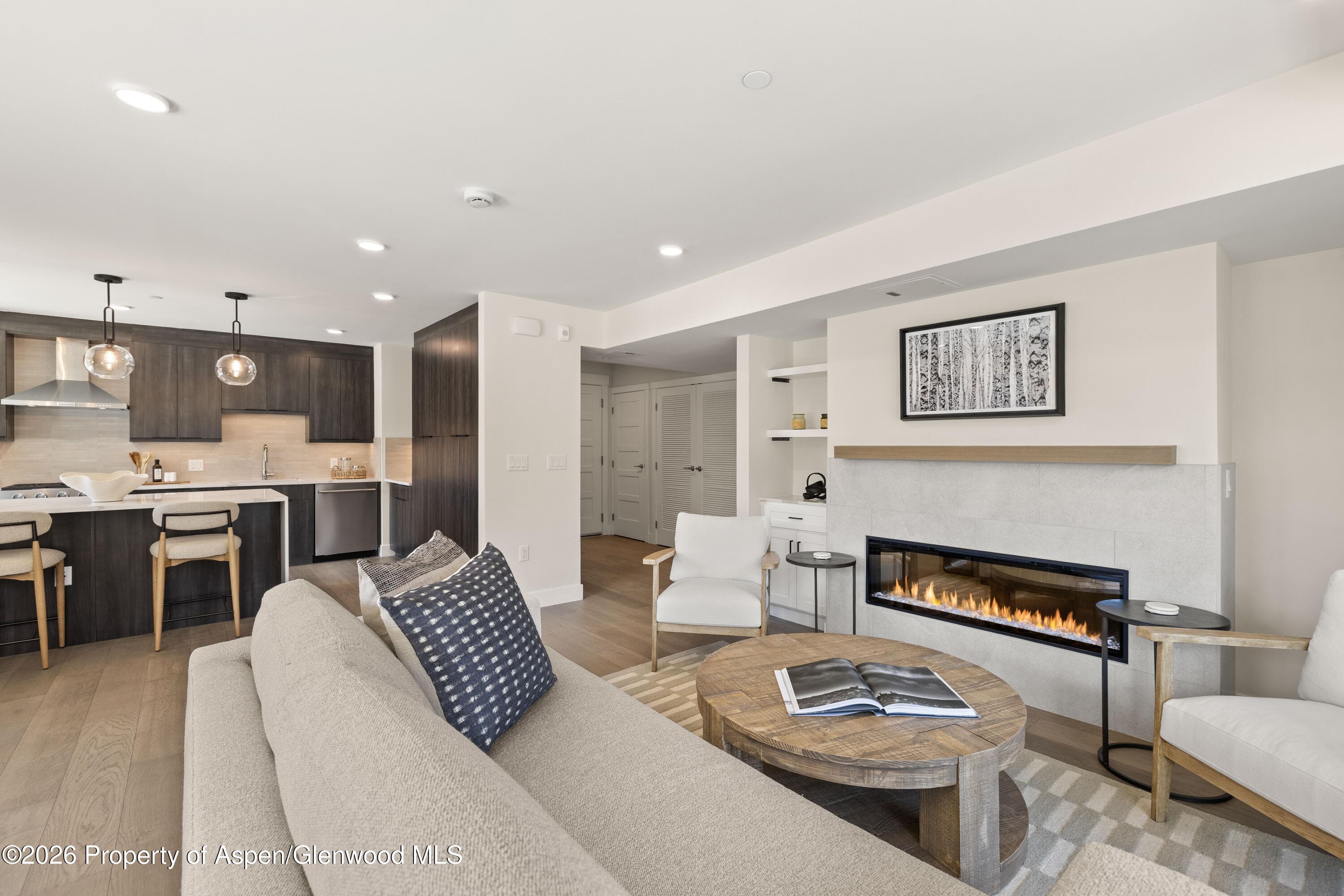 85 Kodiak Drive 407, Basalt, CO 81621 - Photo 14