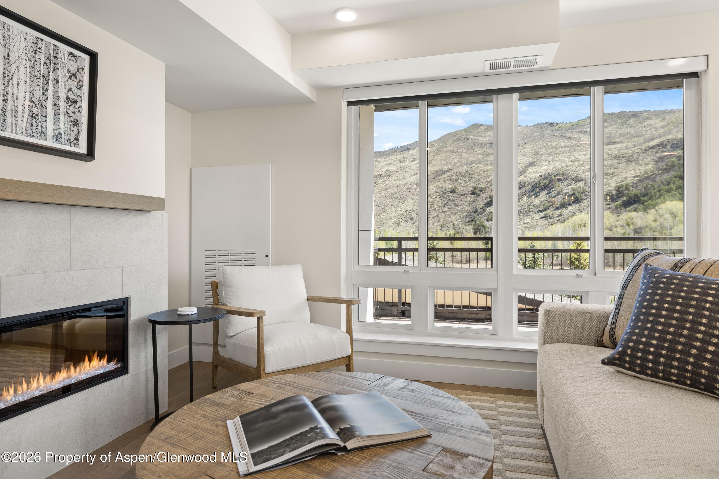 85 Kodiak Drive 417, Basalt, CO 81621 - Photo 4