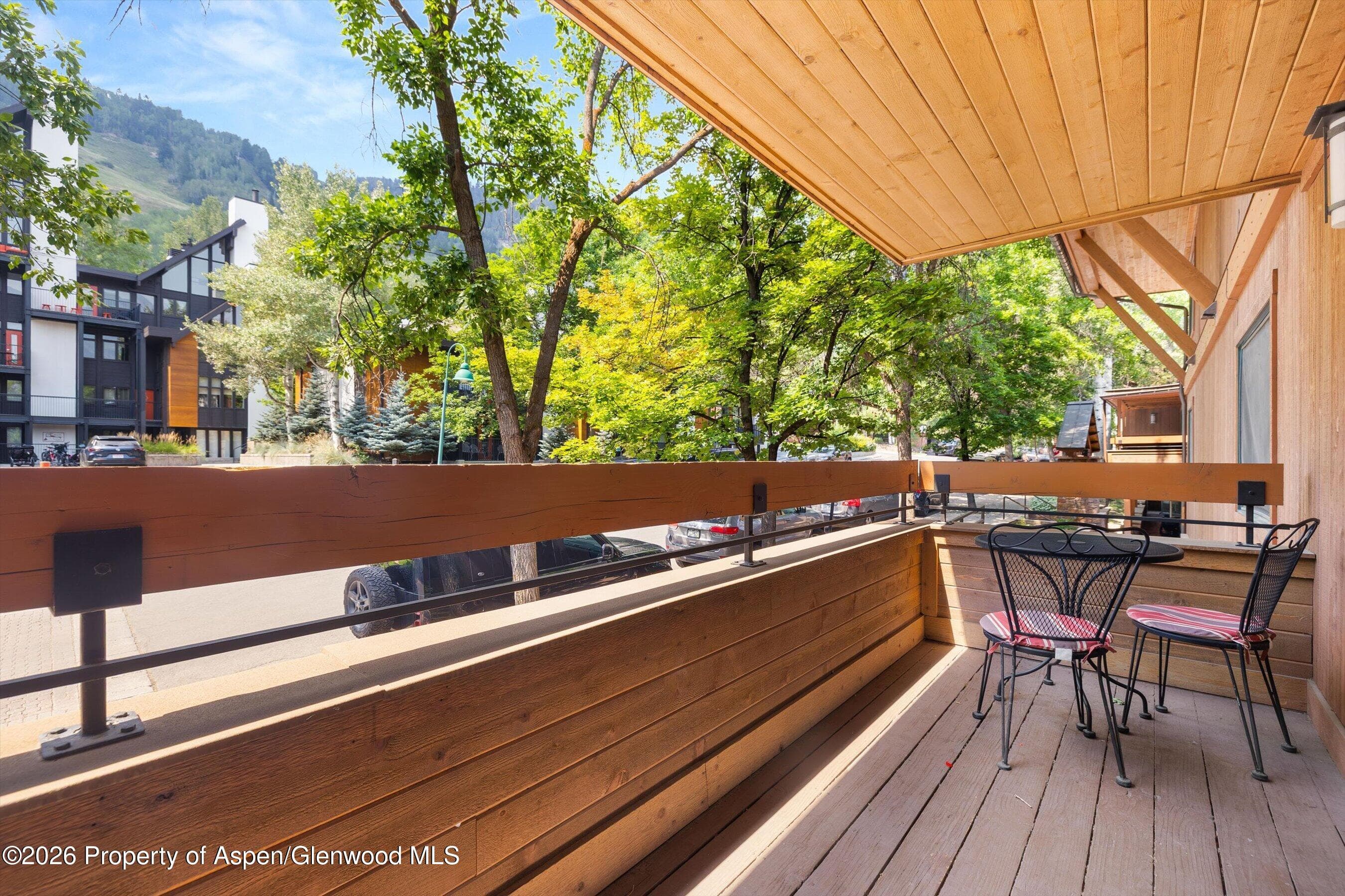 747 S Galena Street 230 & 330, Aspen, CO 81611 - Photo 10