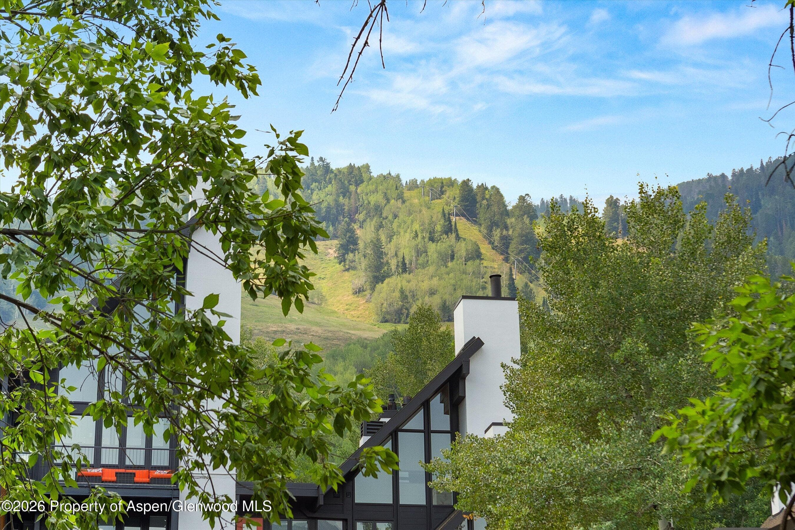 747 S Galena Street 230 & 330, Aspen, CO 81611 - Photo 4