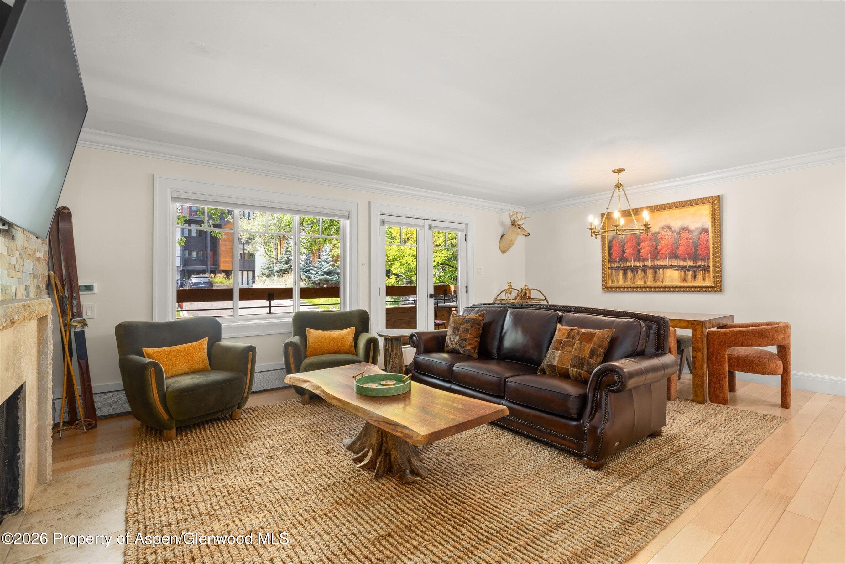 747 S Galena Street 230 & 330, Aspen, CO 81611 - Photo 8