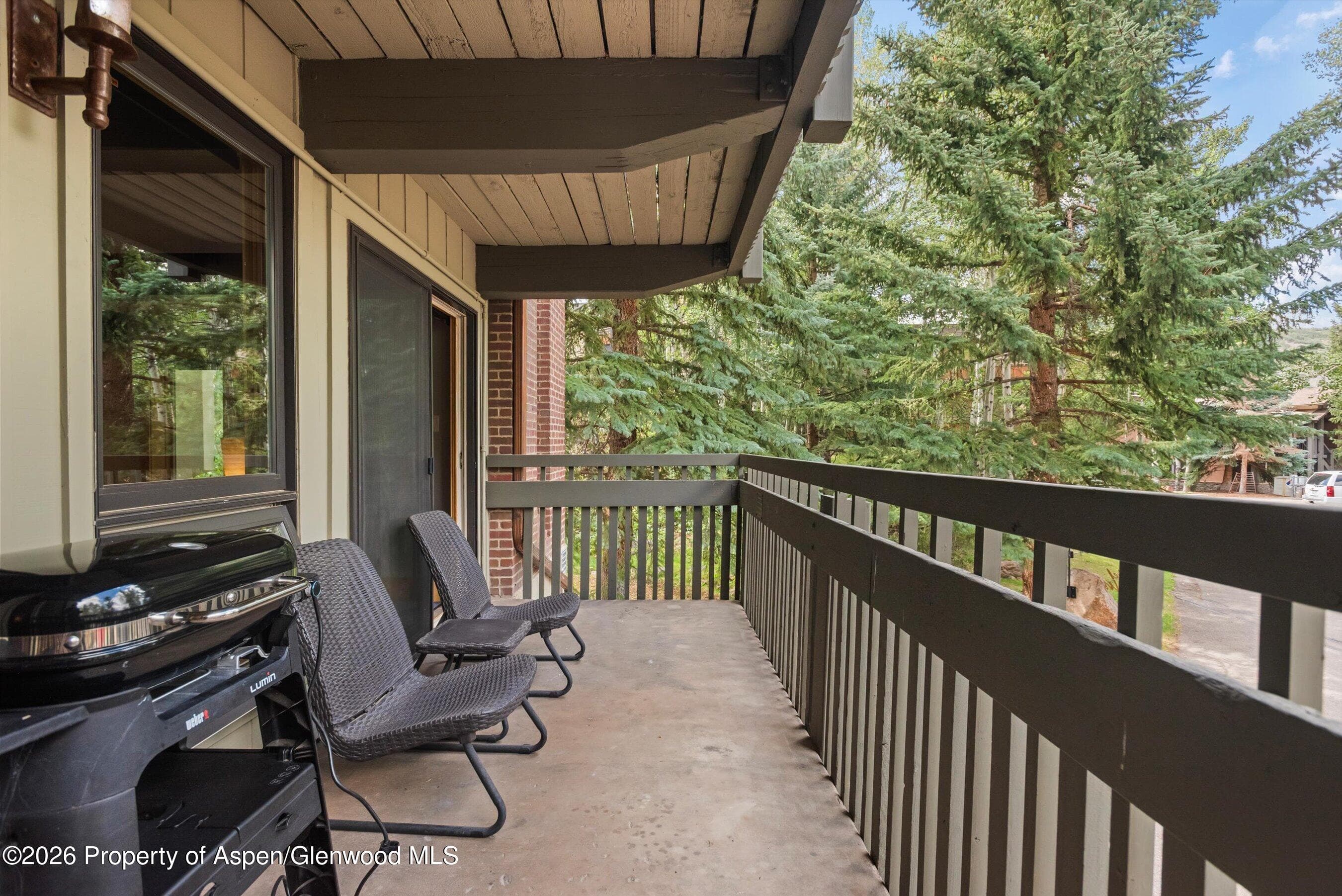 70 Gallun Lane 101-A, Snowmass Village, CO 81615 - Photo 4