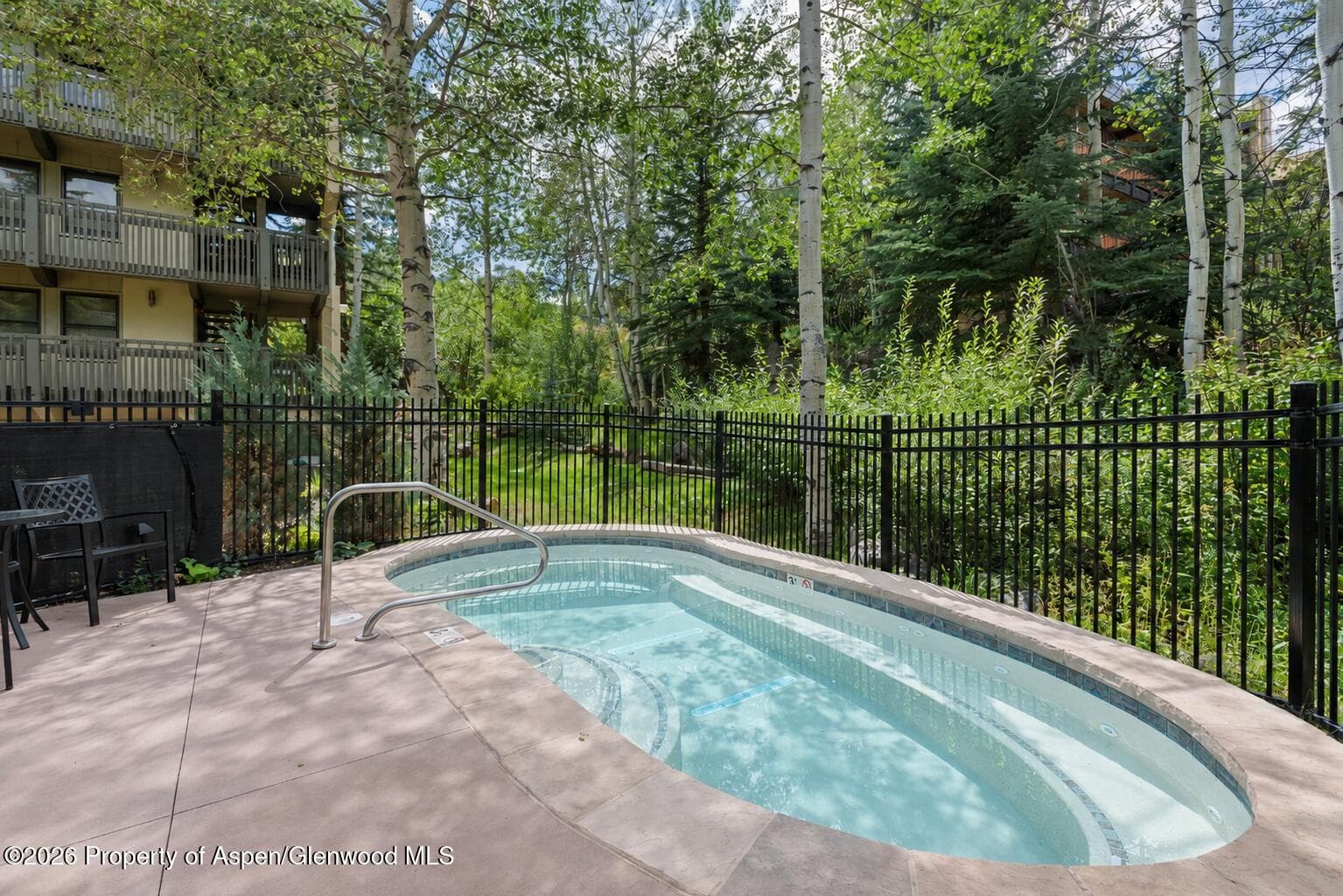 70 Gallun Lane 101-A, Snowmass Village, CO 81615 - Photo 15