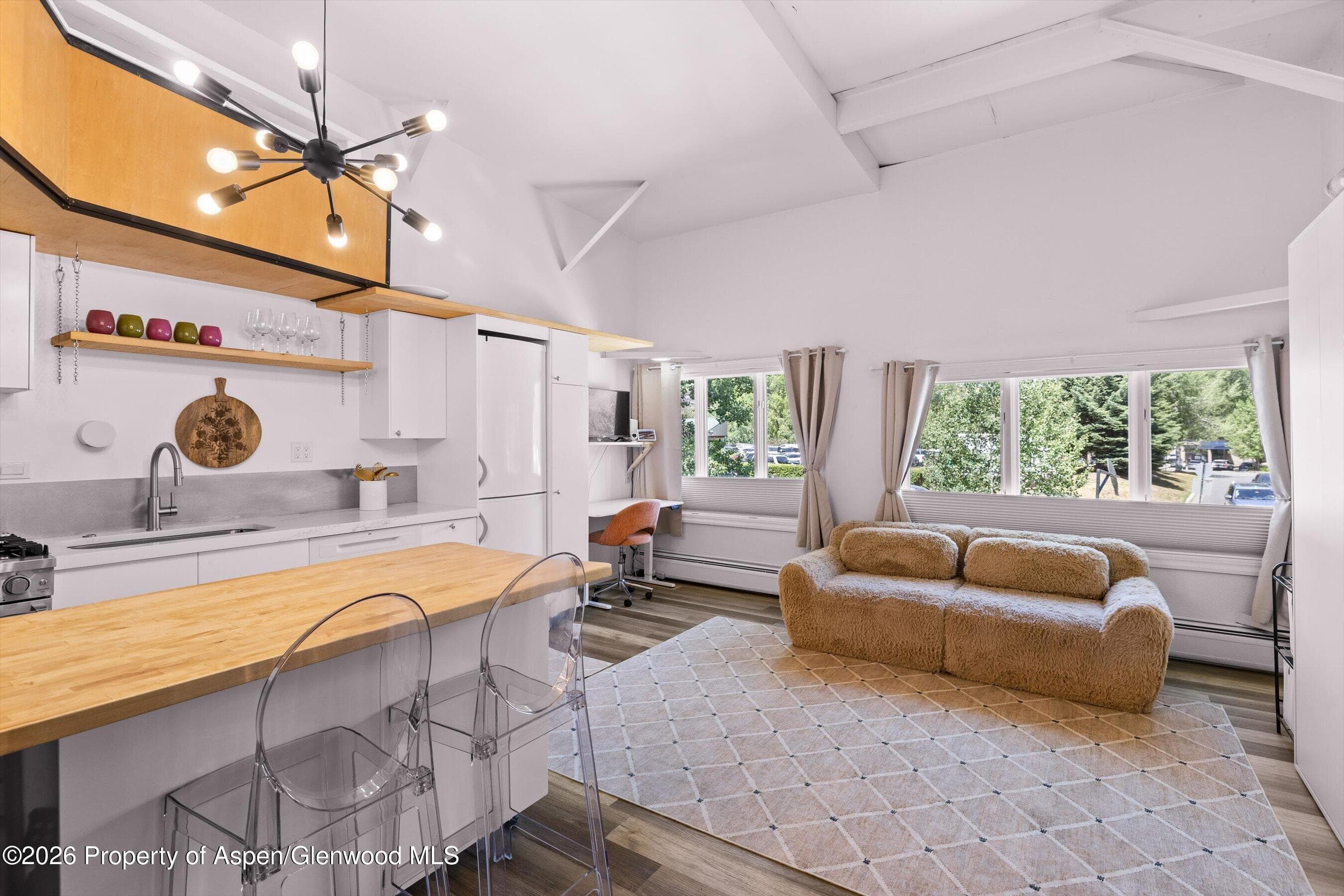 412 N Mill Street B9, Aspen, CO 81611 - Photo 2