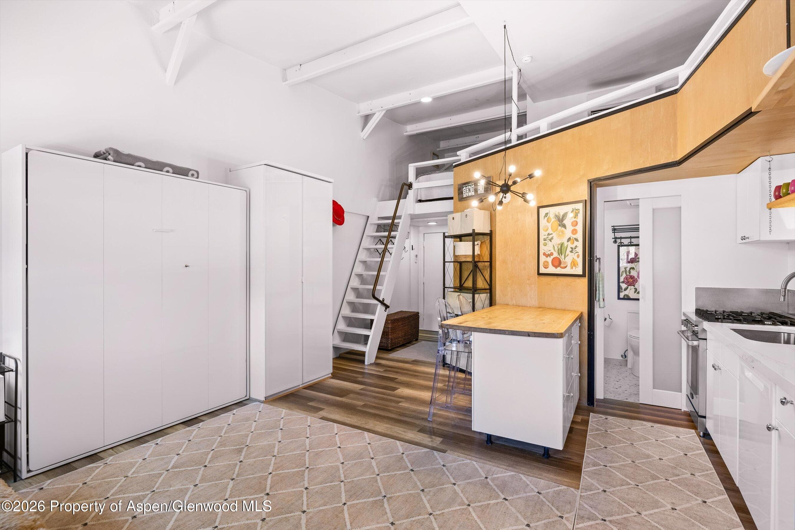 412 N Mill Street B9, Aspen, CO 81611 - Photo 3